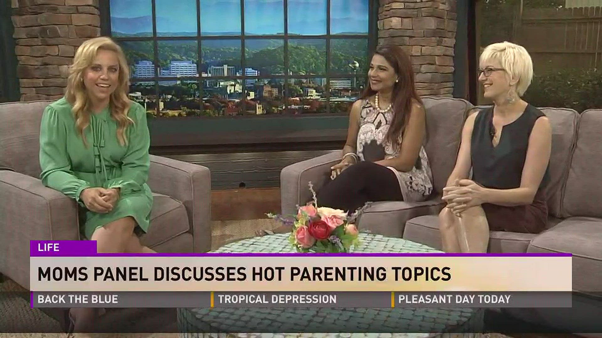 Mom's Panel Discusses Hot Parenting Topics
