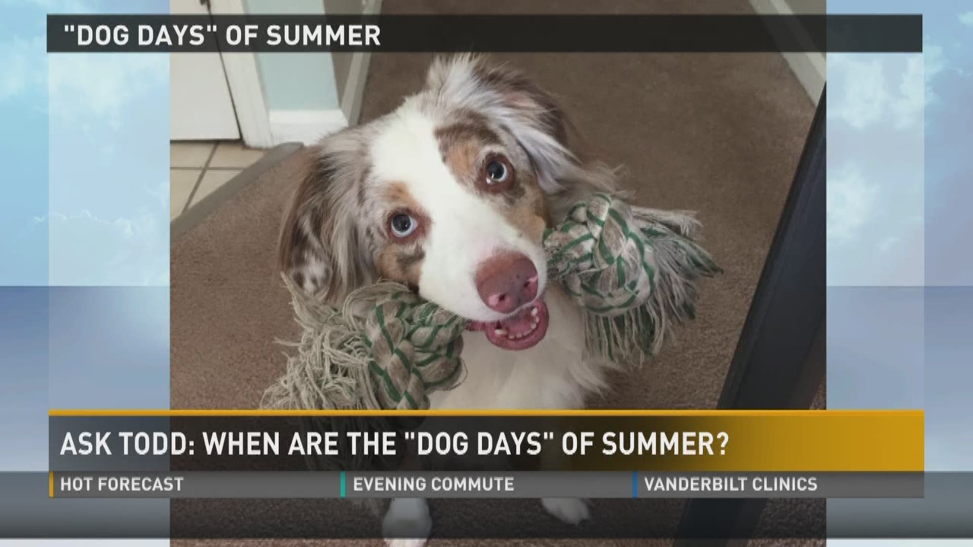 The dog days of summer happen in July, but you may be surprised to find out its not named after the four-legged friend.