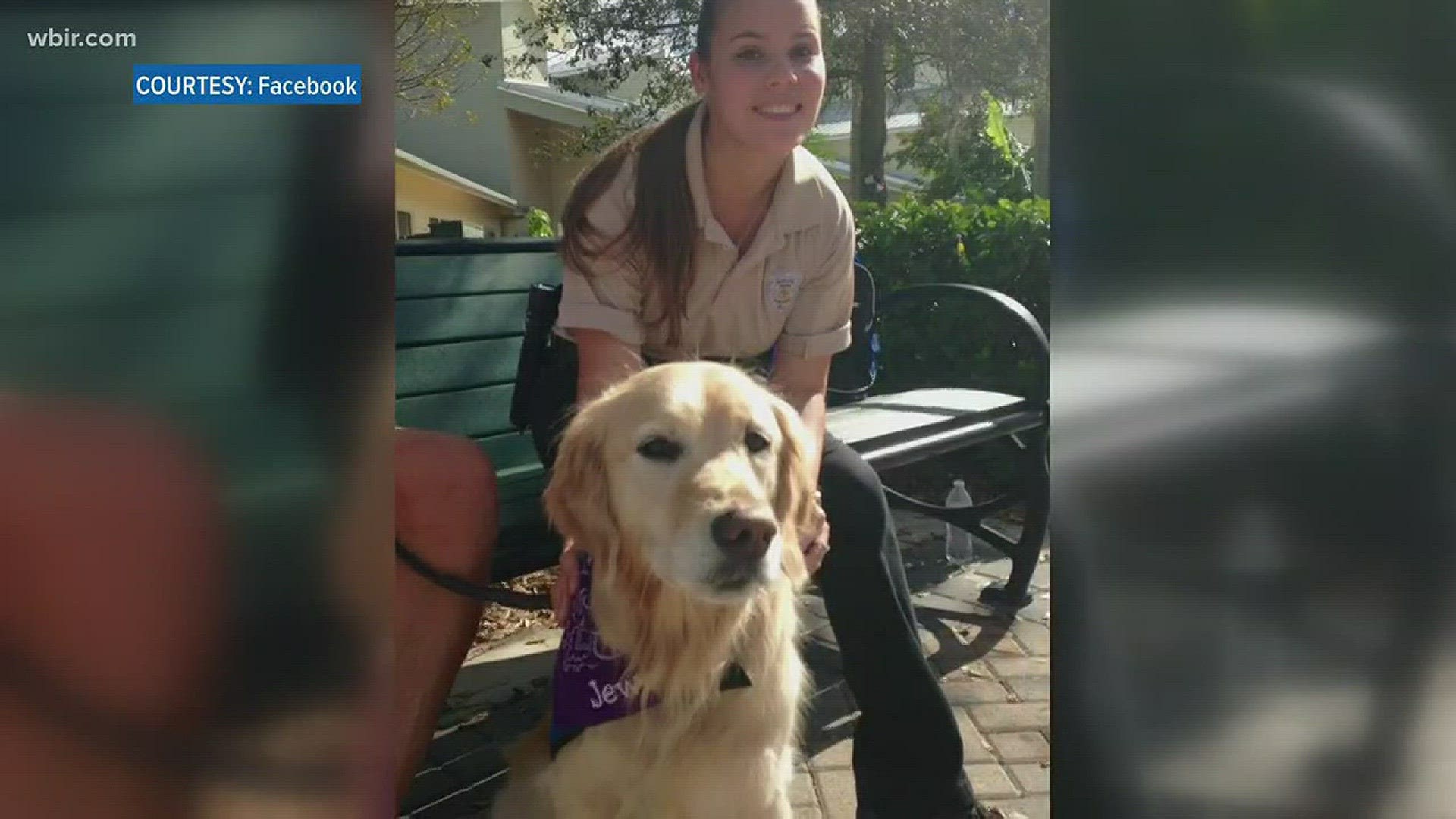 Jewel the comfort dog visit Parkland, Florida as many grieve the loss of 17 lives.