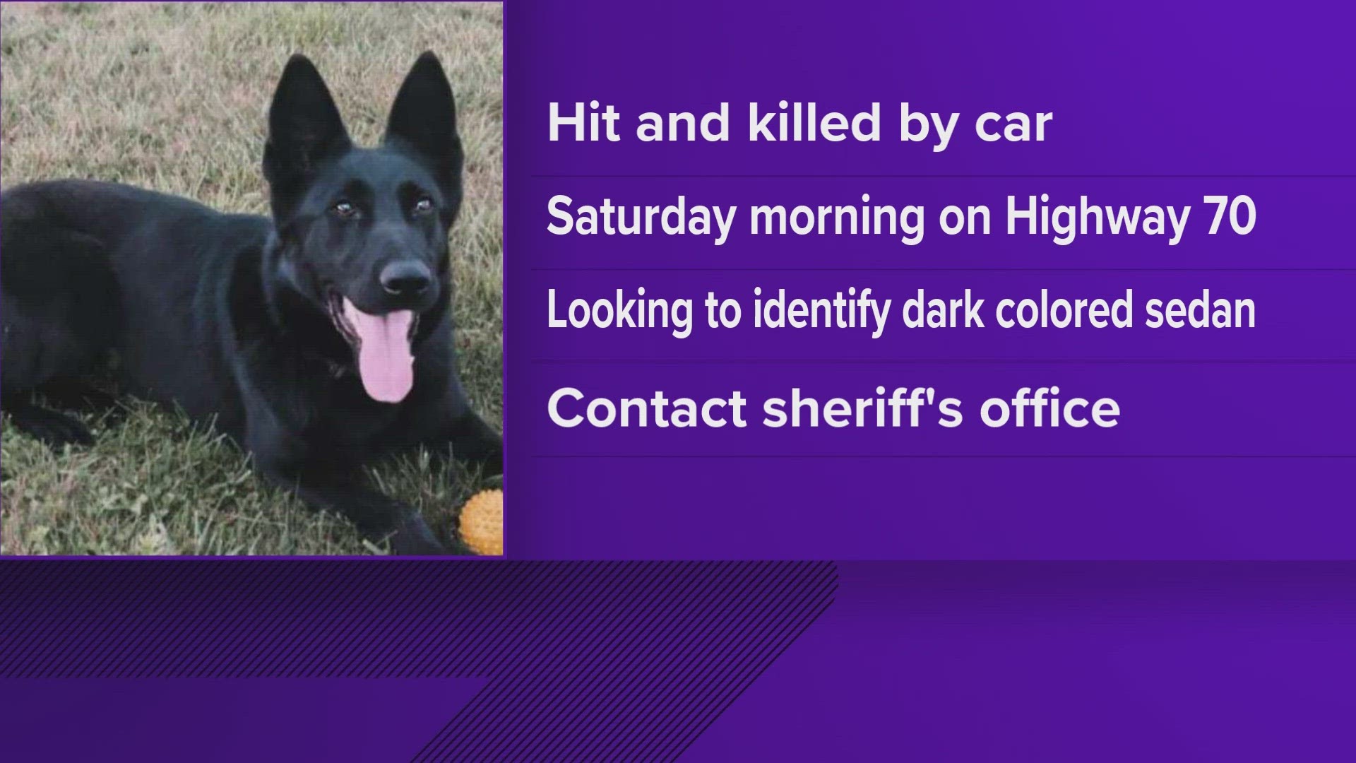 The K-9 was named Shadow, and the Cumberland County Sheriff's Office said the dog was pronounced dead at the scene.