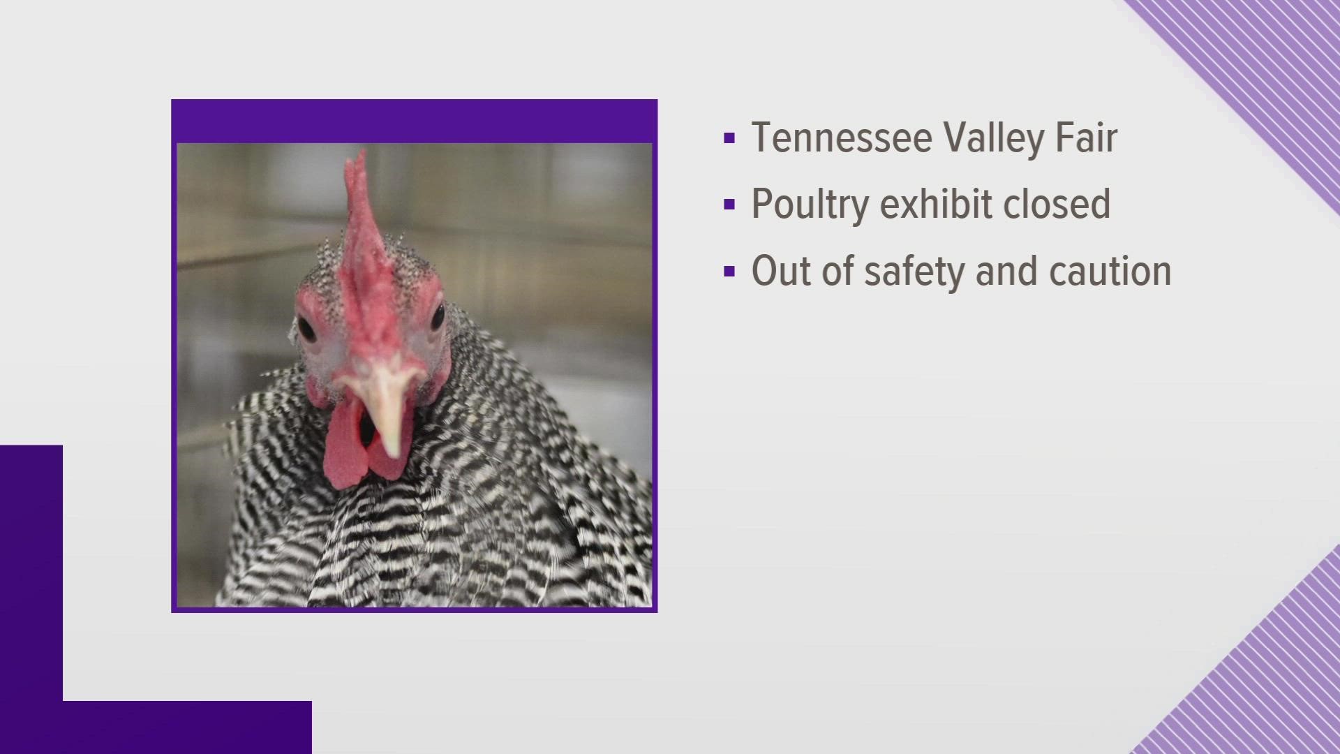 TN Valley Fair sends poultry exhibitors home after case of bird flu in West  Tennessee 