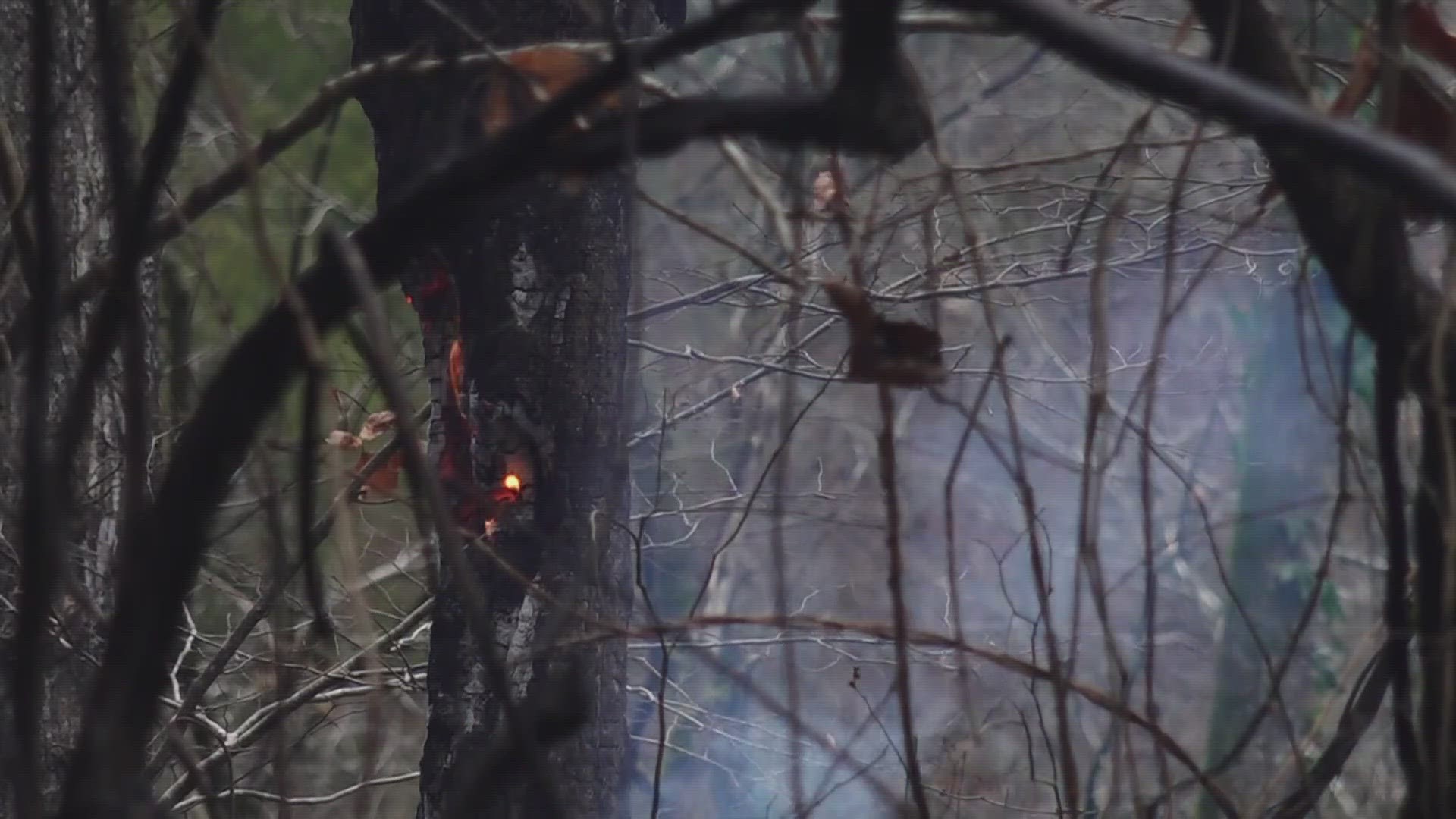 The National Park Service said an investigation indicated two fires were ignited on Nov. 20 in the Rich Mountain area.