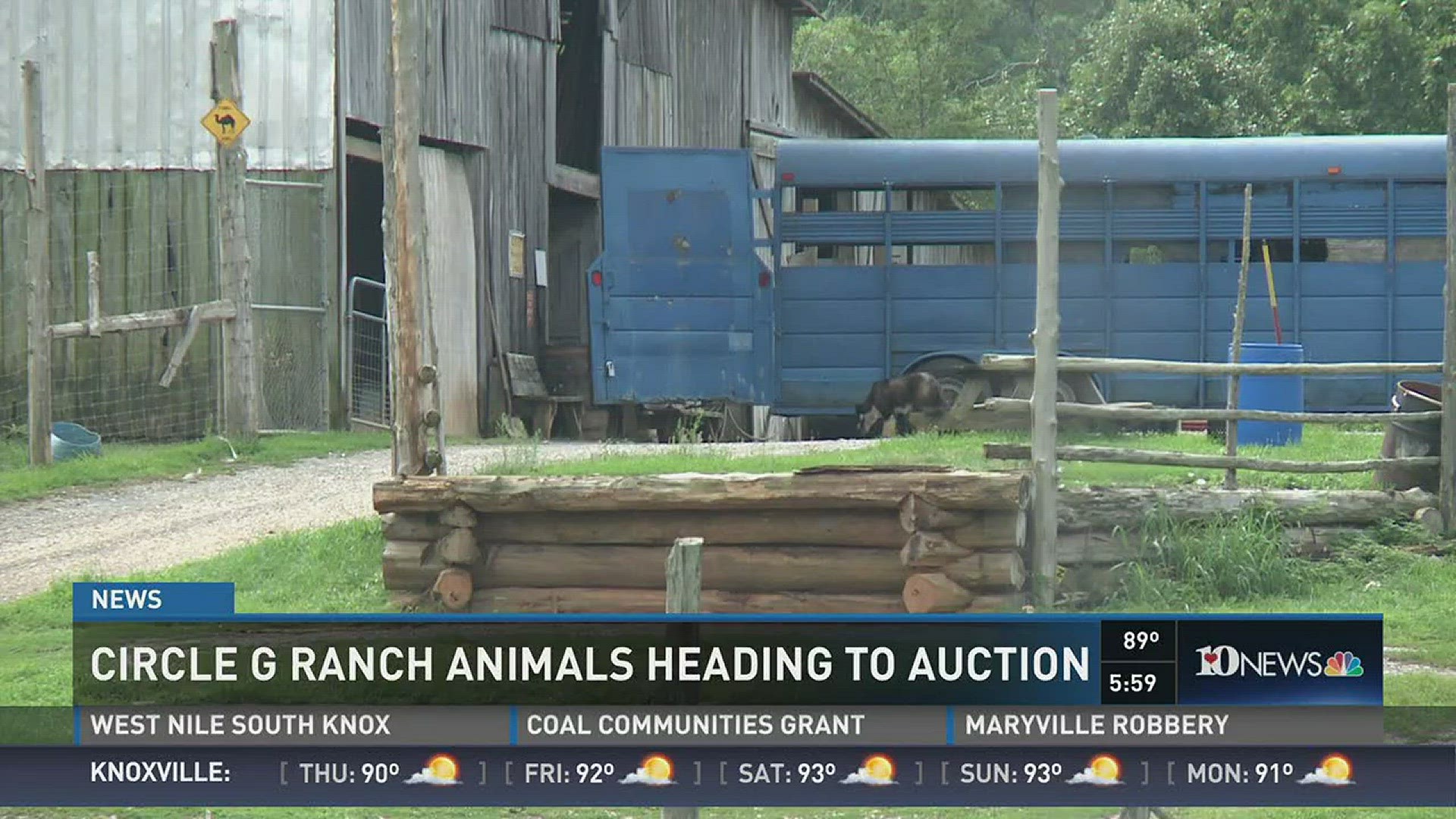 About 100 animals from the Sevier County ranch will be sold at an exotic animal auction in September.