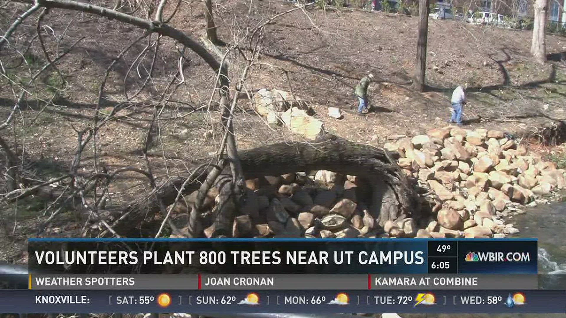 March 3, 2017: Volunteers from UT planted 800 new trees near campus to celebrate Tennessee Arbor Day.