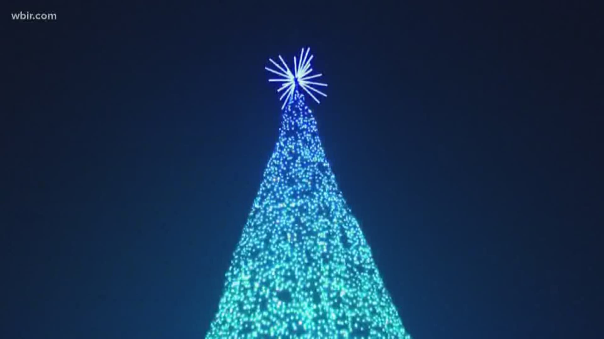 There are millions of sparkling lights and a 50-foot tree.