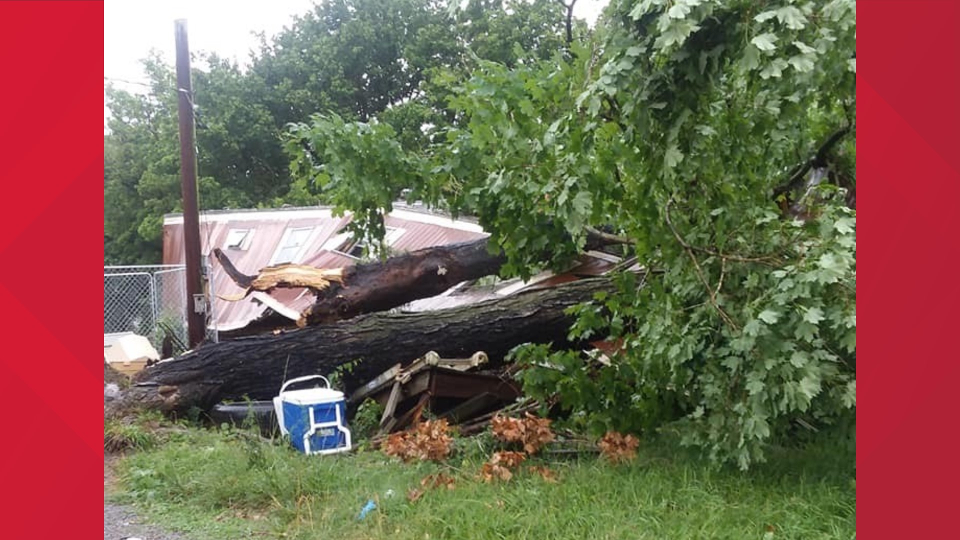 Strong Monday storms topple trees, knock out power for thousands | wbir.com