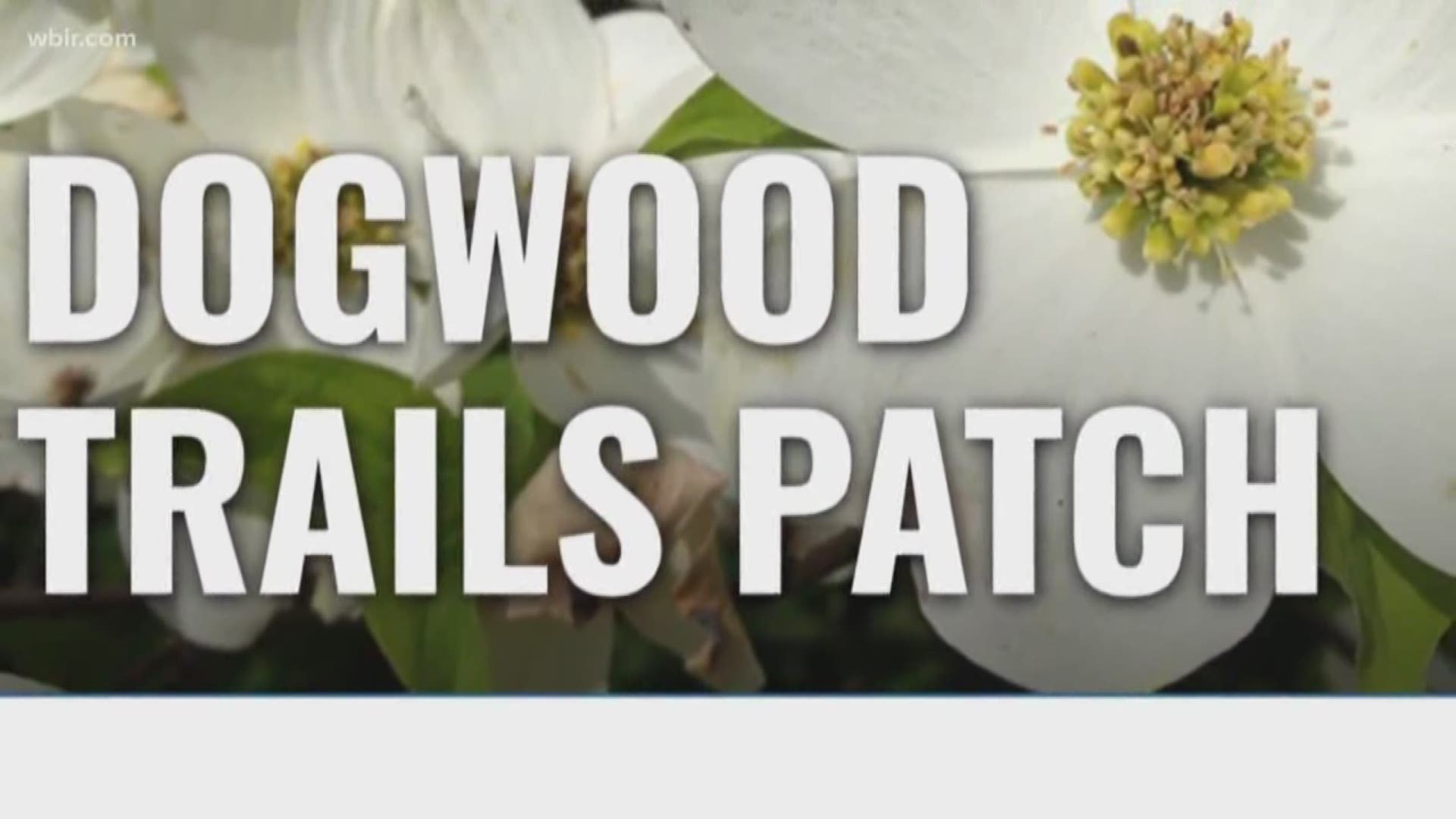 Dogwood Trails Patch