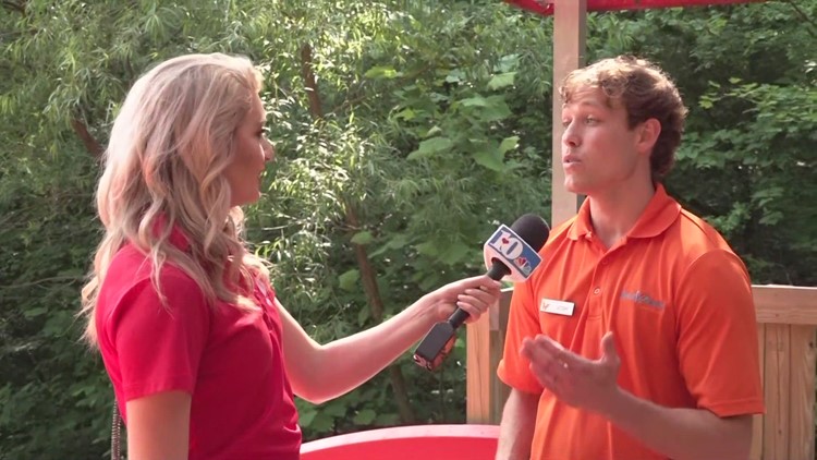 Sevier County Days at Dollywood to benefit Sevier County Food Ministries