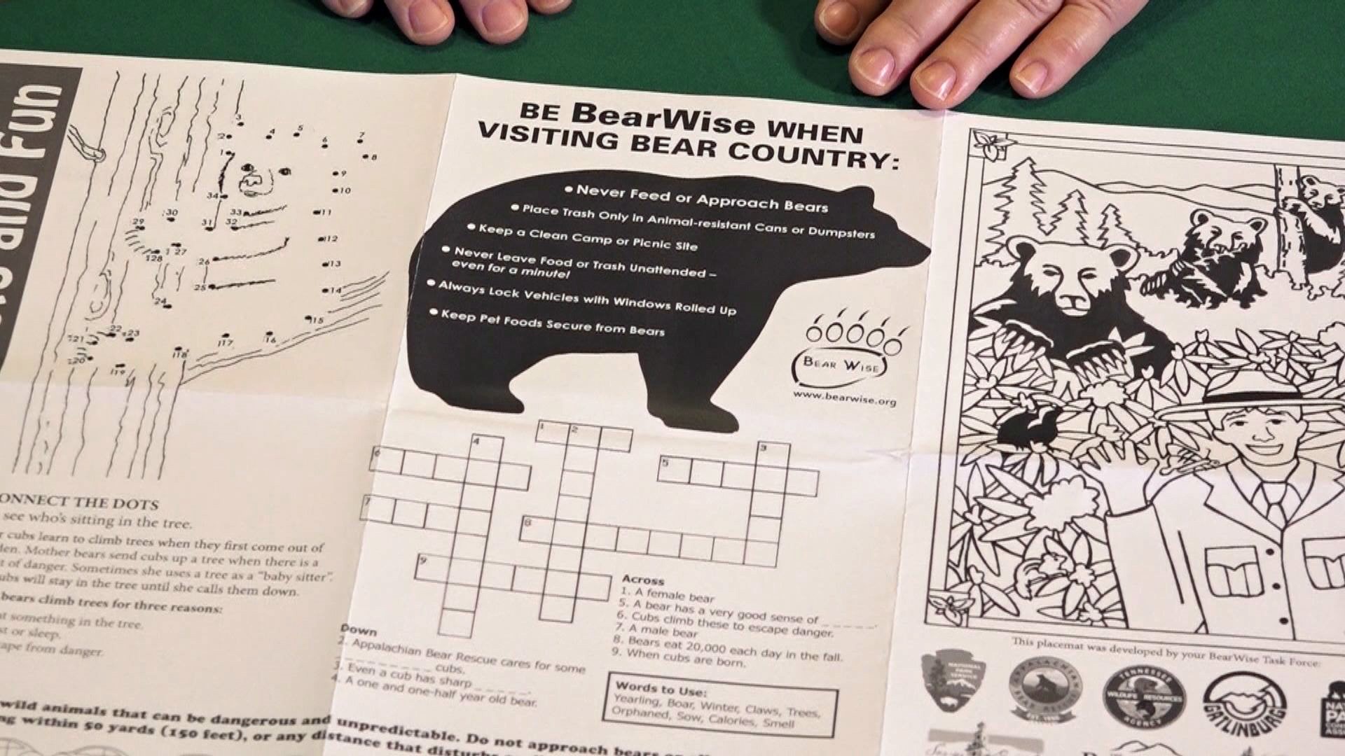 A new placemat is designed to teach tourists in the Smokies about bear safety while drawing at restaurant tables.