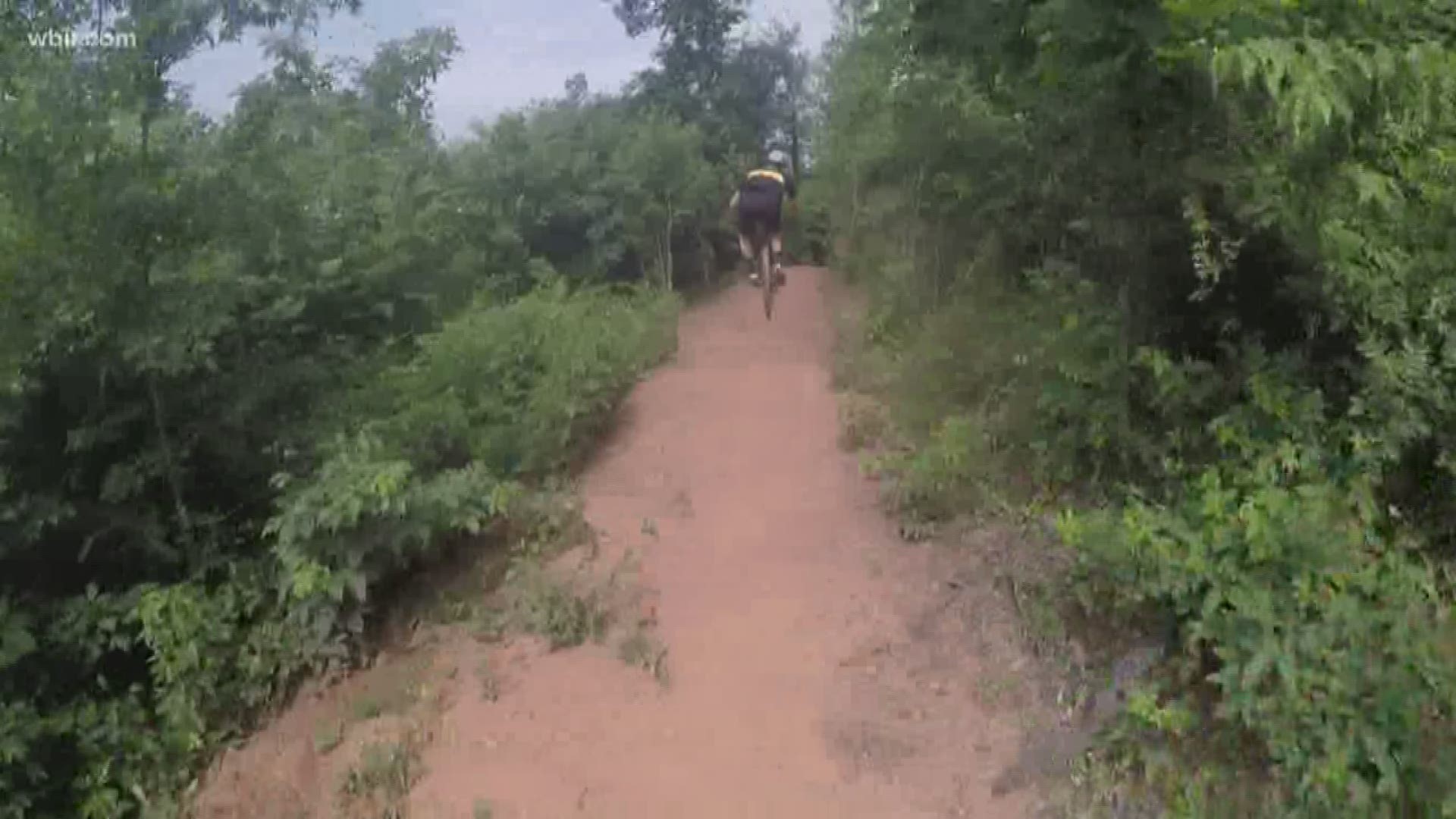 South Knoxville's success in creating an abundance of new bike trails is inspiring a local non profit to try something similar in Oak Ridge. The Clinch Valley Trail Alliance is hoping to convert an unused piece of land in Oak Ridge into a multi skill level mountain biking and hiking Mecca.