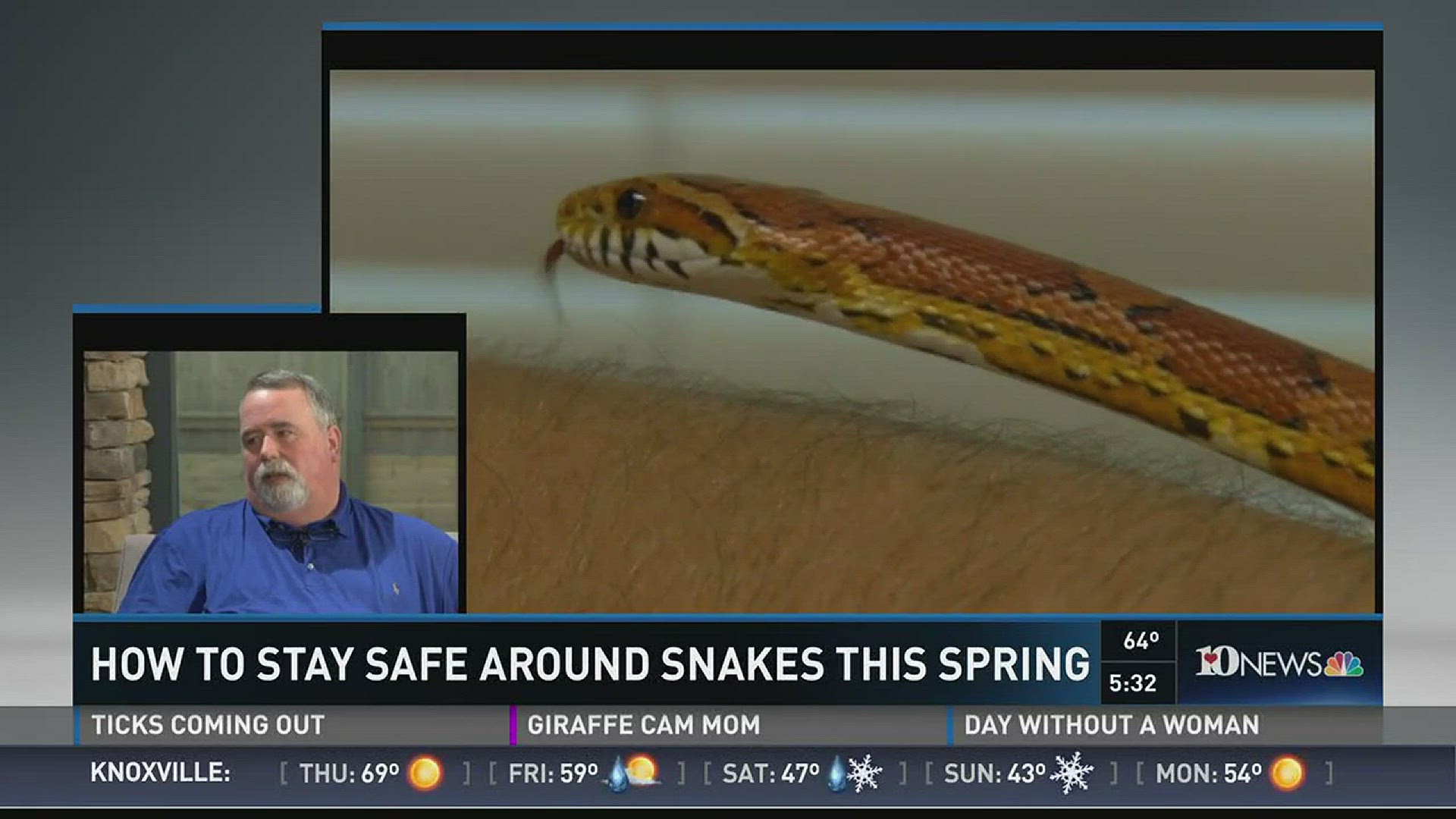 How to stay safe around snakes this spring