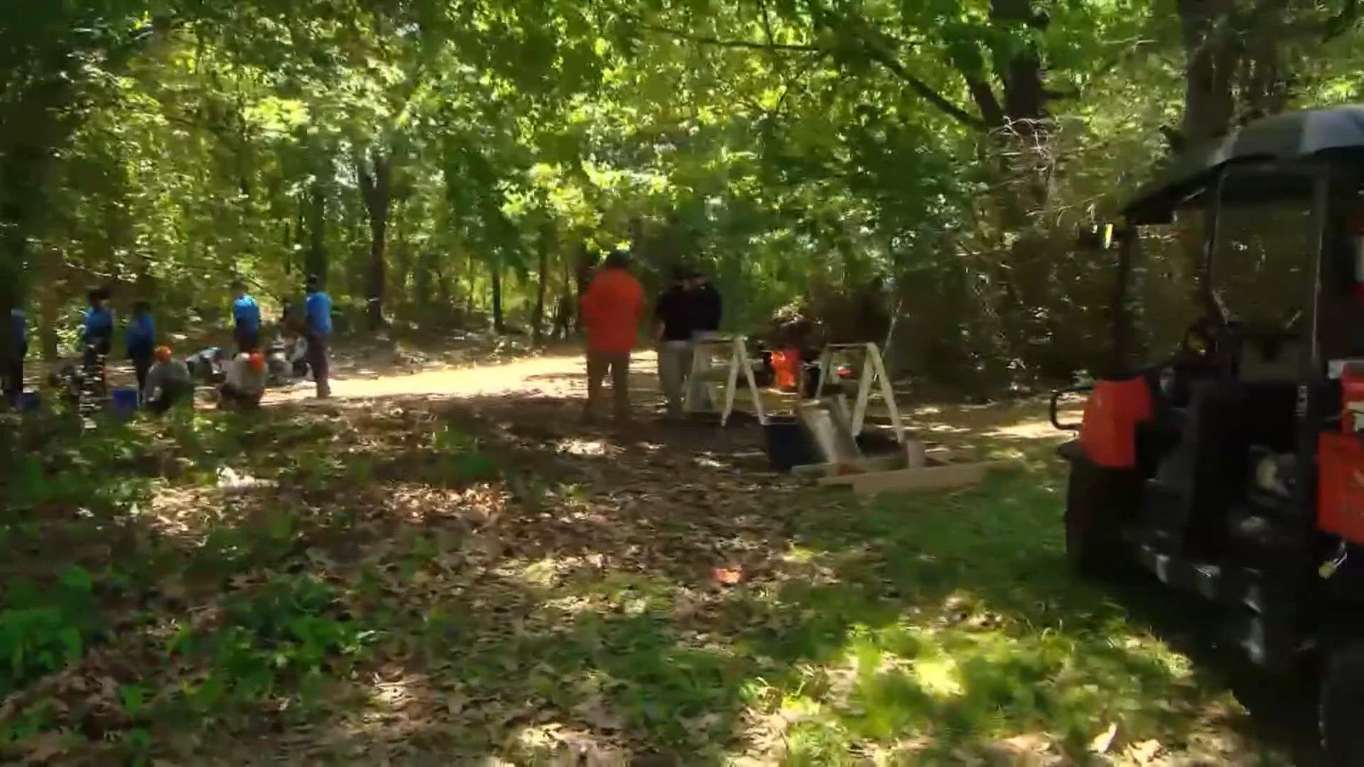 MPD: Remains of 3 children found in woods in Memphis | wbir.com