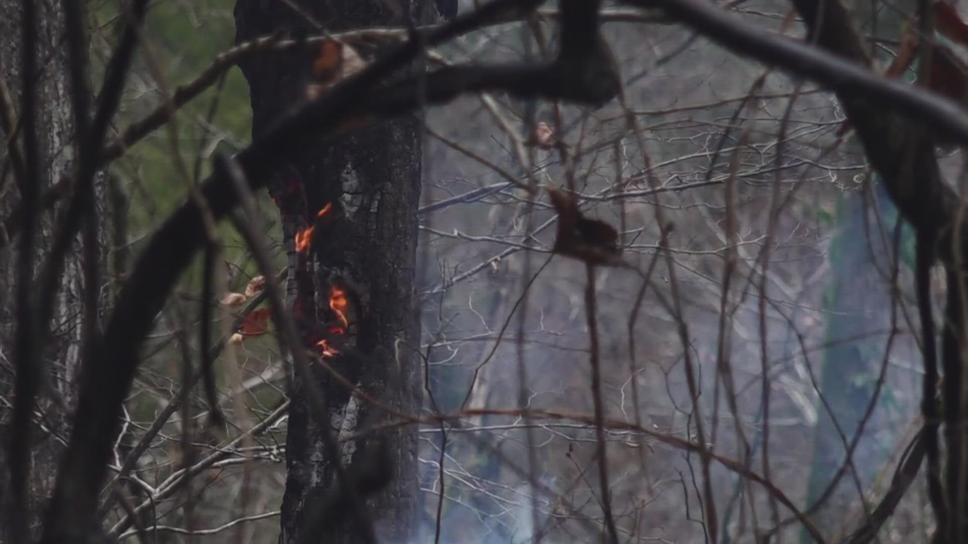 The National Park Service said an investigation indicated two fires were ignited on Nov. 20 in the Rich Mountain area.