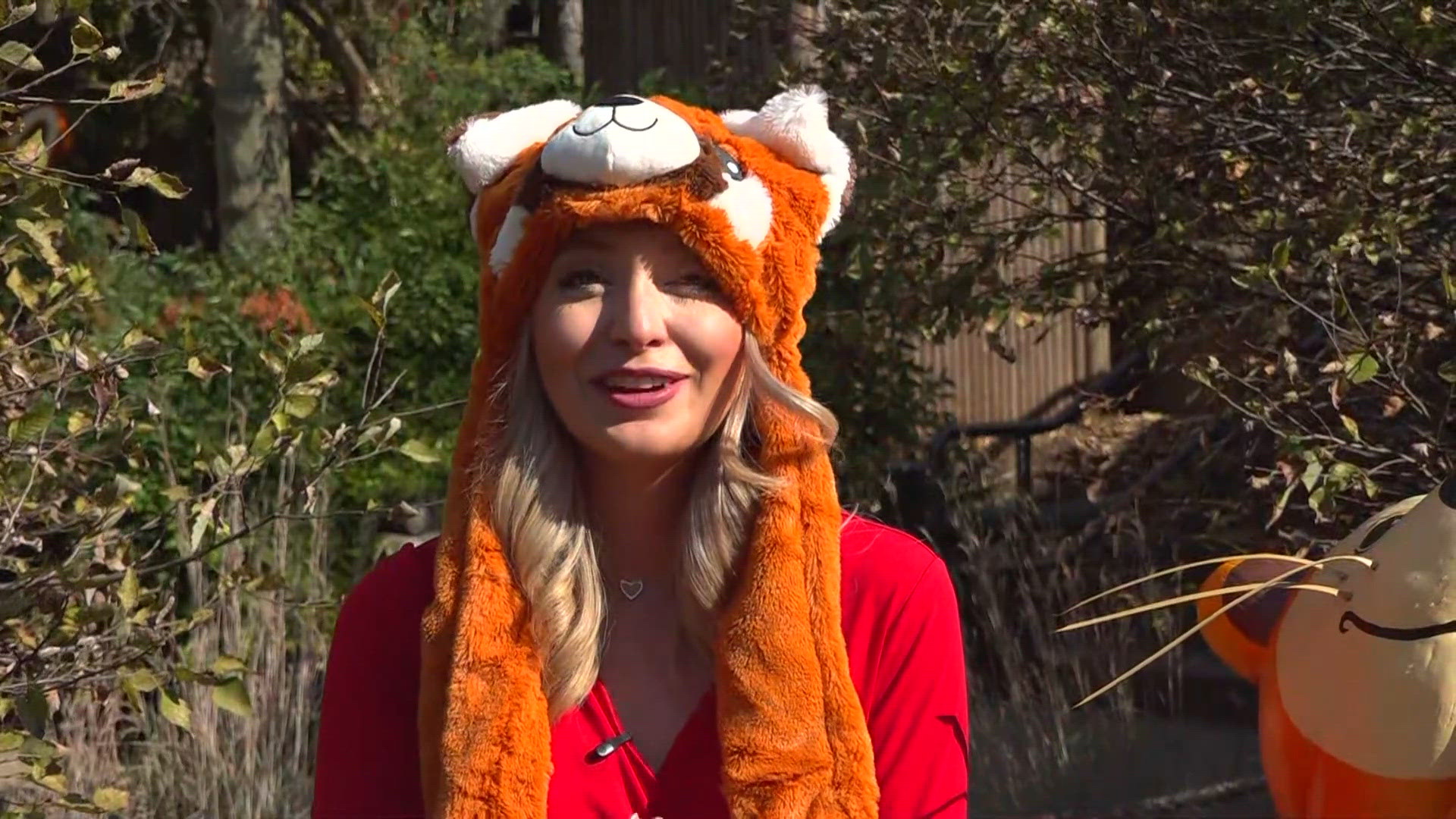 Zoo Knoxville Boo at the Zoo starts this weekend | wbir.com