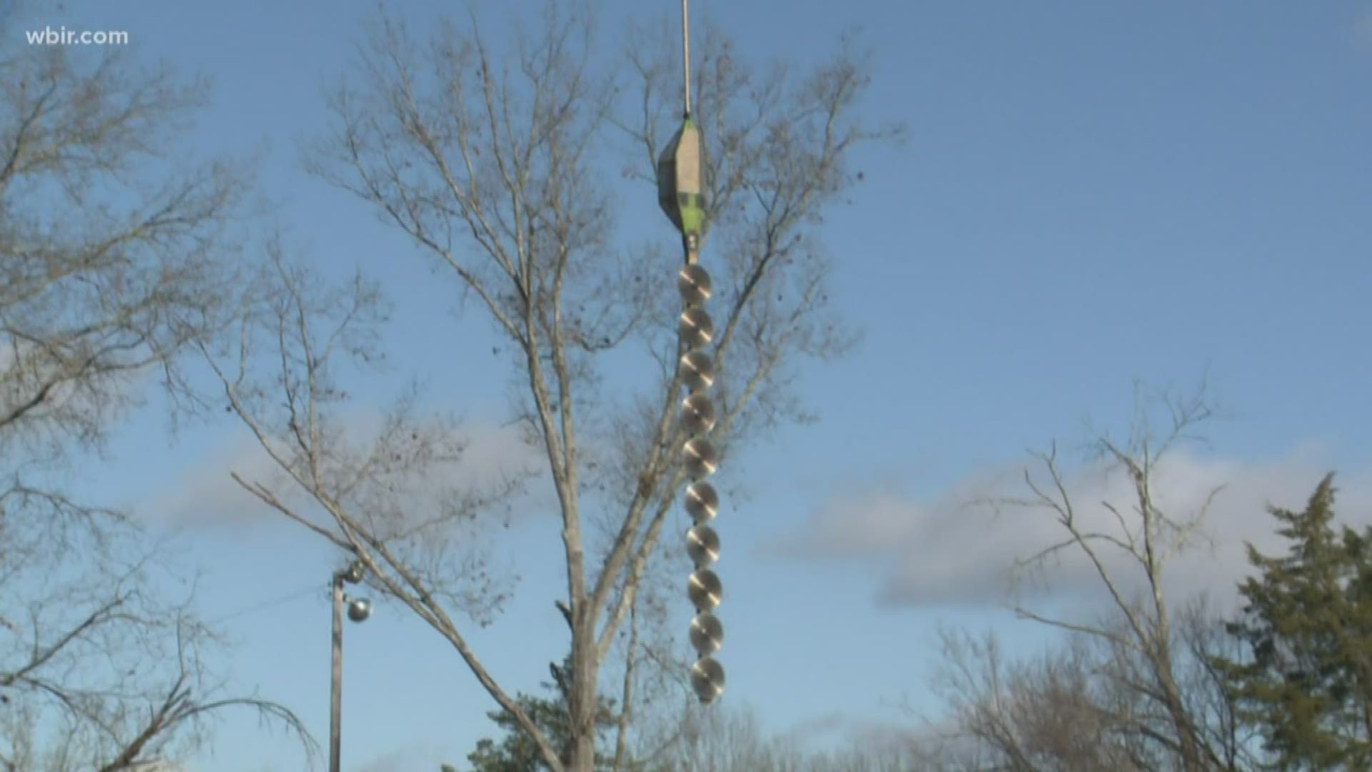 Crews use a saw attached to a helicopter to reach areas of trees they couldn't otherwise.
