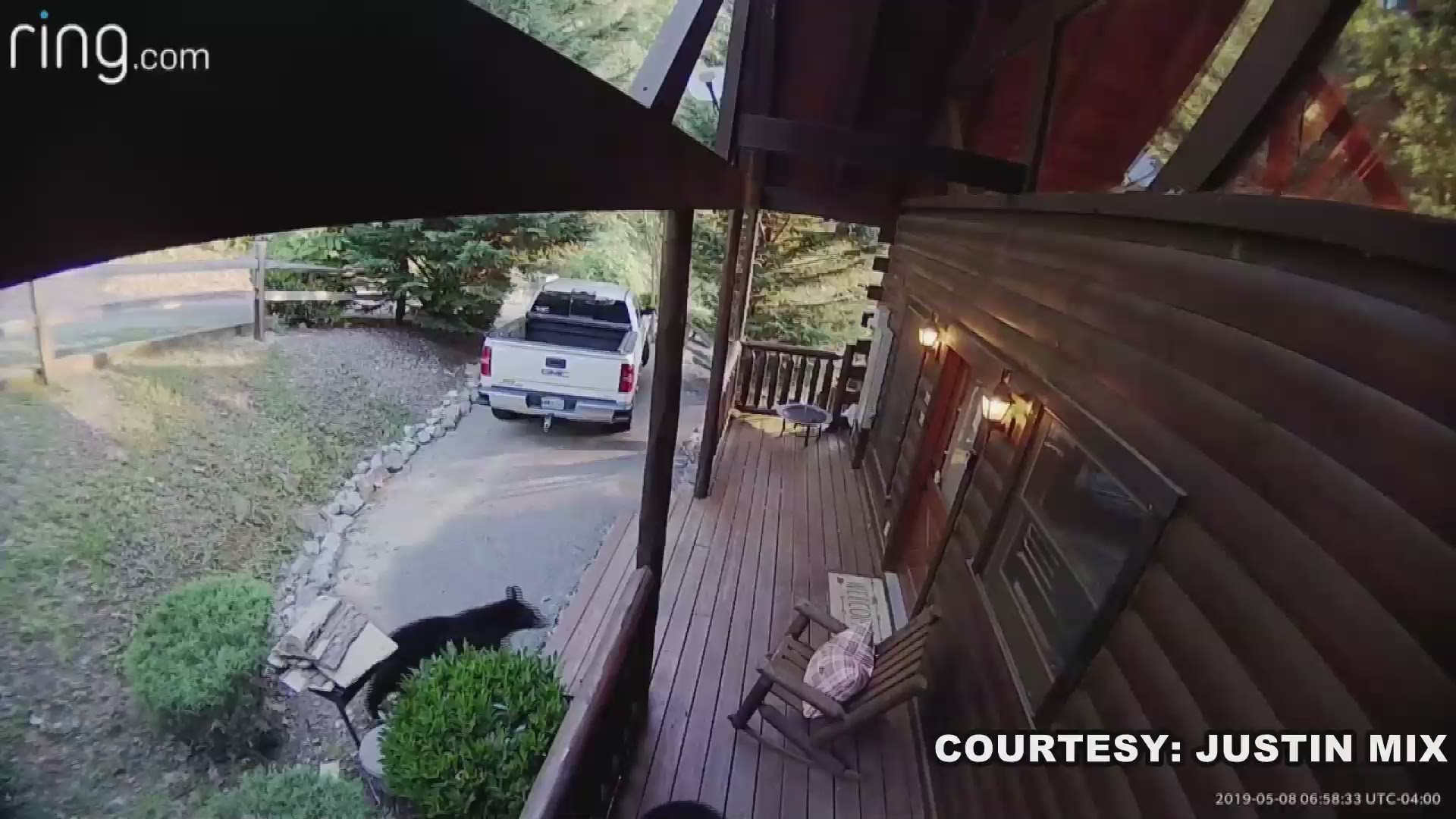 The bears are seen wandering around and one even went up to the front door to try to get into the cabin. The whole encounter was captured on a RING surveillance camera.