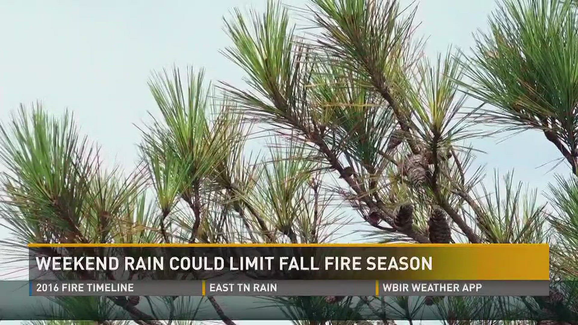 Oct. 9, 2017: With just days to go until the official start to fire season, experts say recent rain could mean a quieter year.