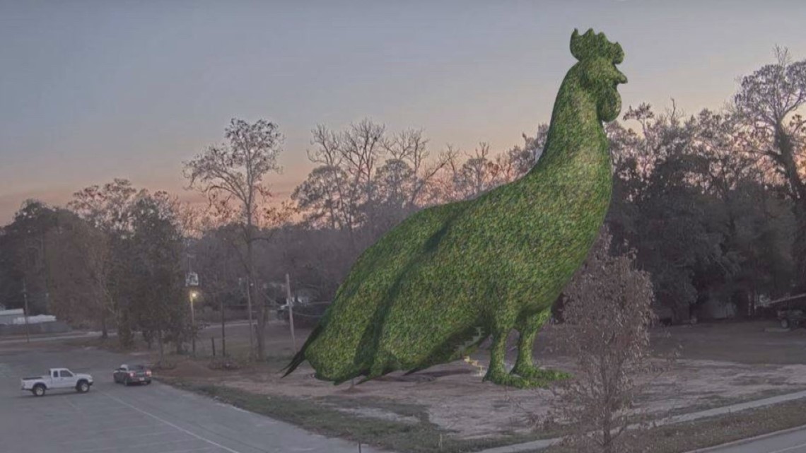 Giant topiary chicken gives small town something to crow about