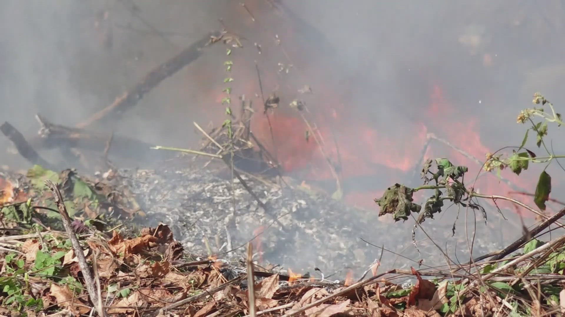 One fire in Campbell County was reported on Tuesday near Meredith Cemetery after several other wildfires ignited across East Tennessee.