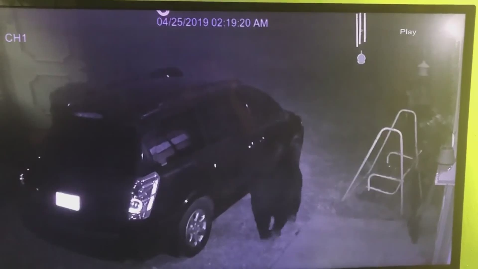 The whole thing was caught on surveillance footage that shows the bear crawl up to the car, open the door, climb right in and come out with food.