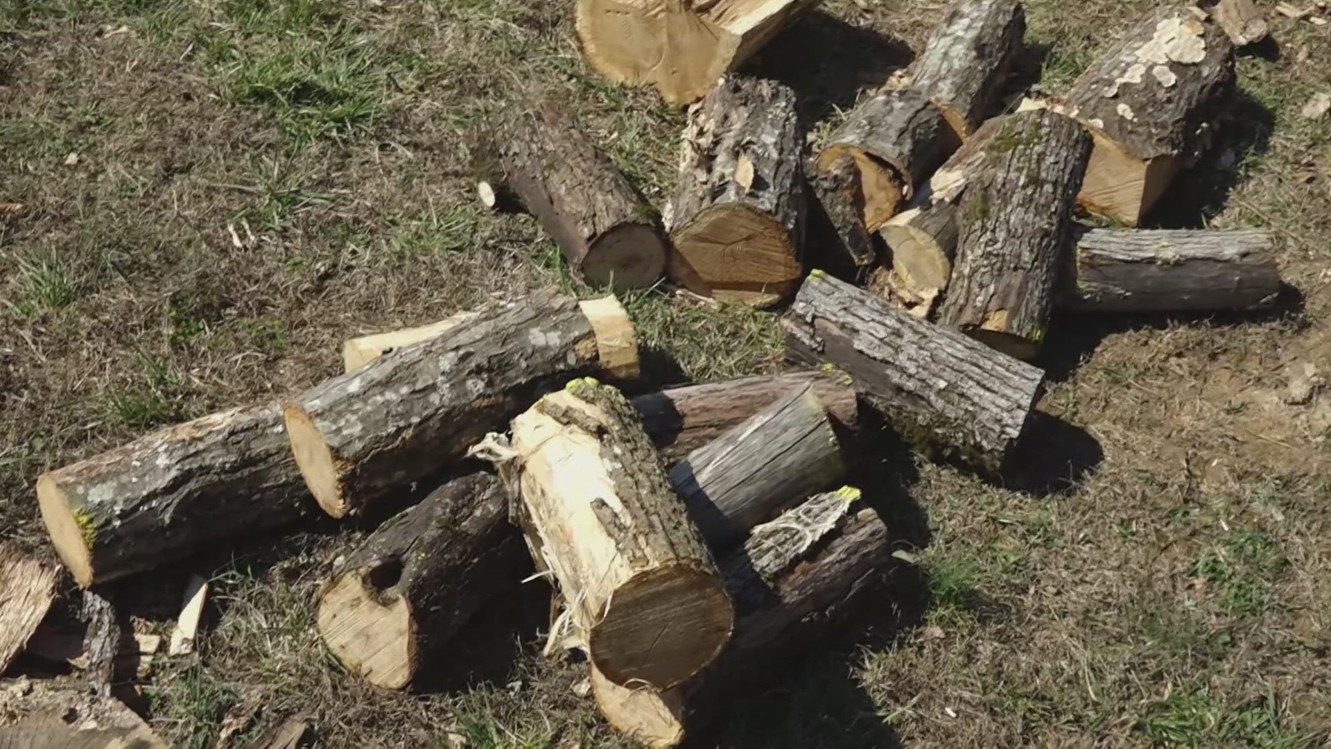 The Firewood Program helps supply people with firewood.