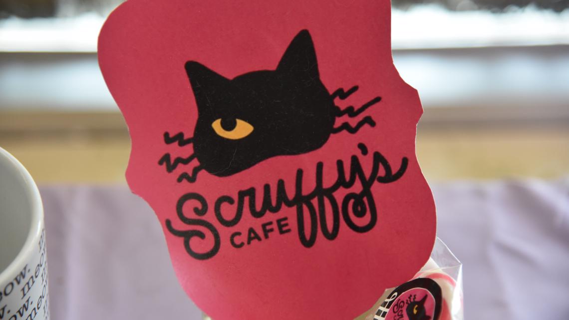 El espectáculo de comedia de gatos «Kitten Around» comienza el sábado por la indeterminación en Scruffy’s Cafe