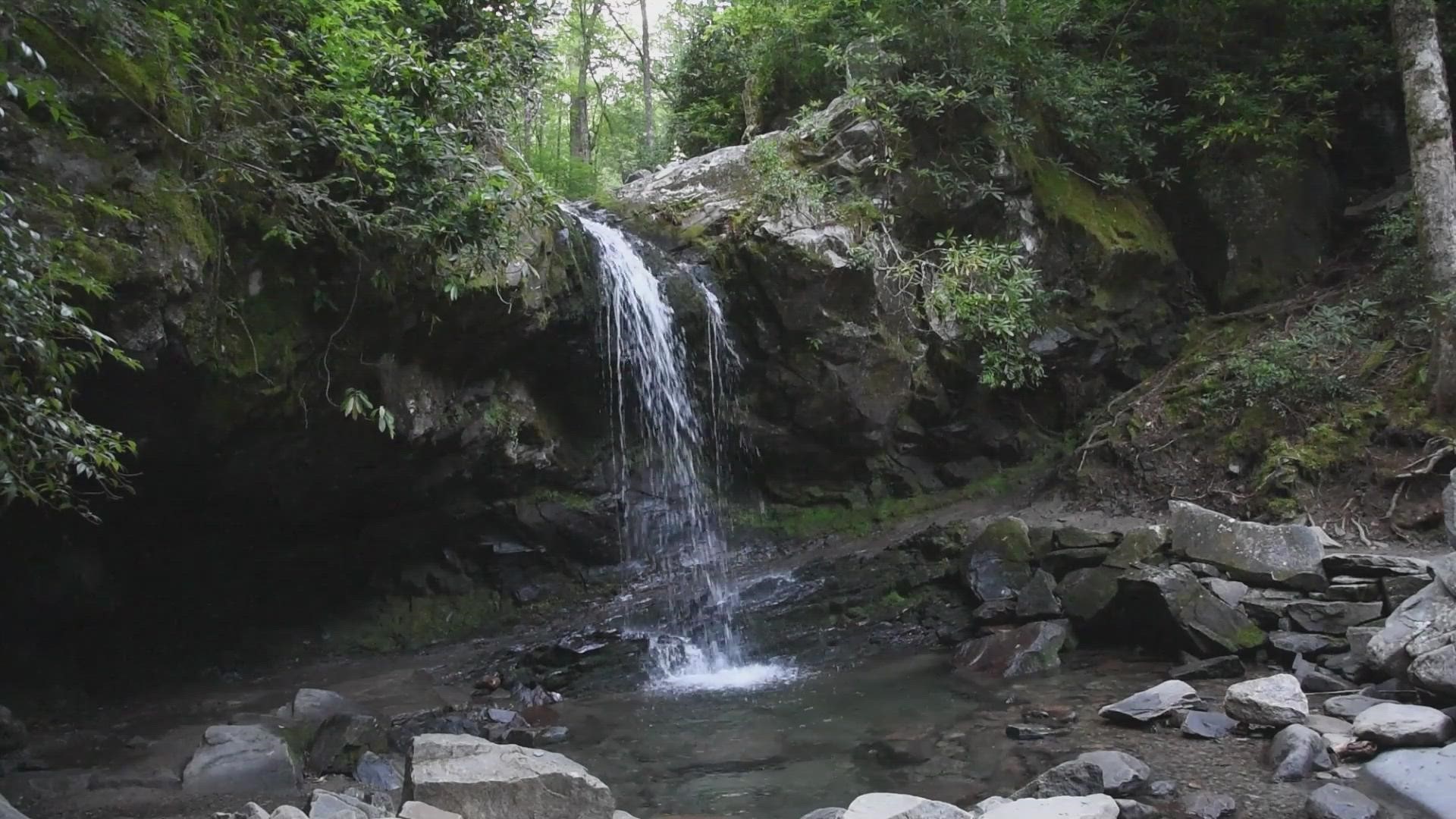 Sights and sounds from Grotto Falls in the Great Smoky Mountains National Park.