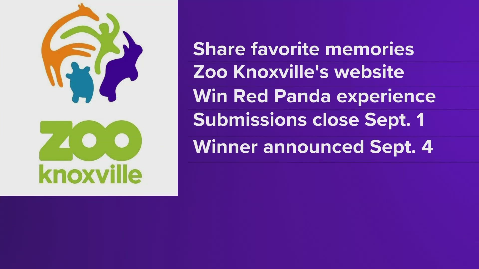 People can share their zoo-related stories online for a chance to win a "Red Panda Experience."