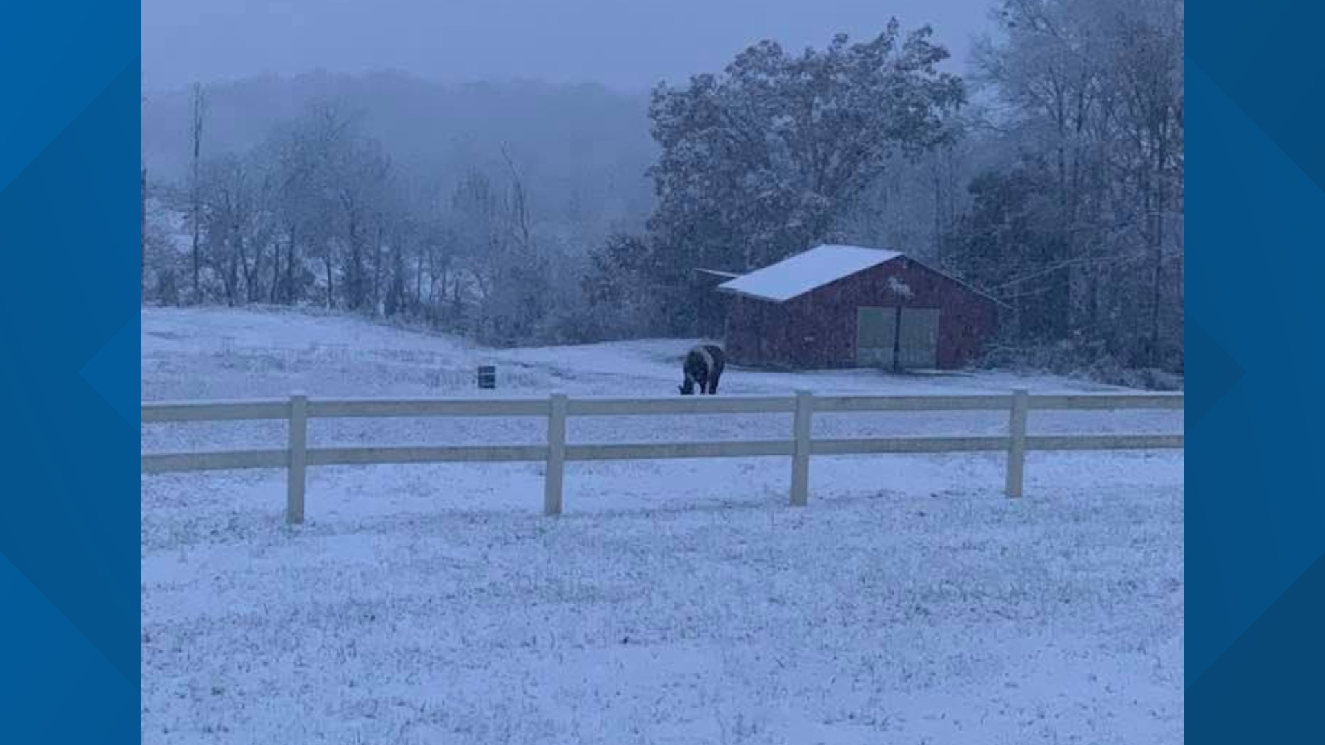 PHOTOS: East Tennessee experiences winter wonderland | wbir.com