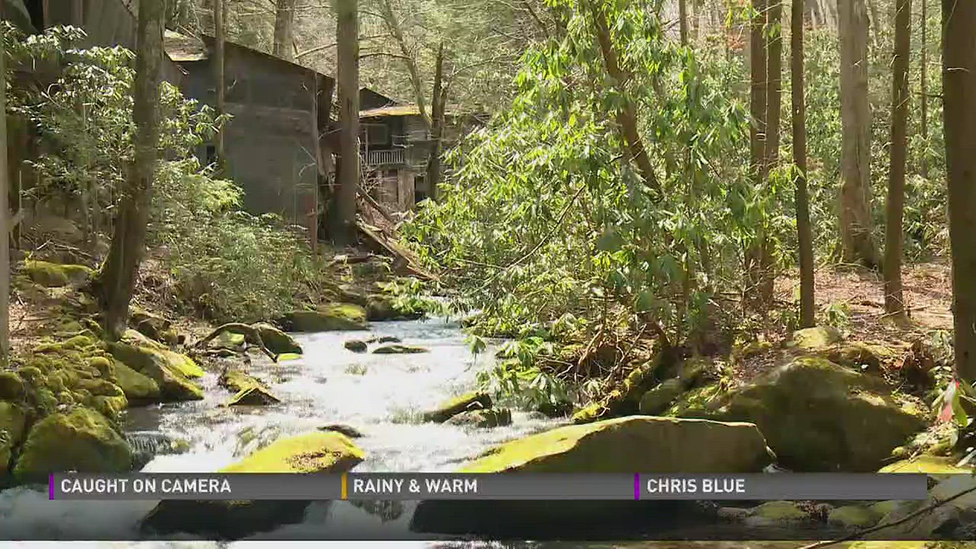 April 21, 2017: Demolition crews are knocking down dozens of historic cabins that have been in the Smokies for more than a century, but the real story is what led up to this point.