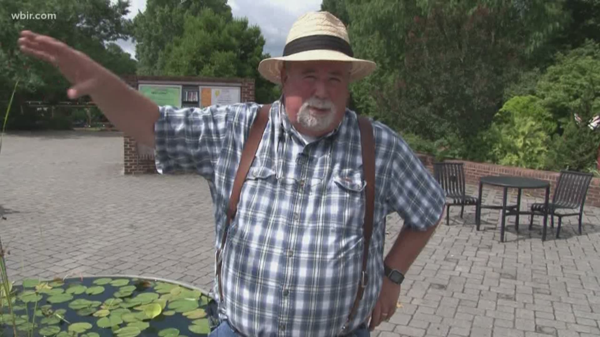 Knox County Extension agent Neal Denton shares some ideas for controlling mosquitoes. Neal says we need to get ahead of the problem now by spraying your landscape before you have guests over and keeping them away from water features.  Also, fans are also helpful. June 26, 2019-4pm.