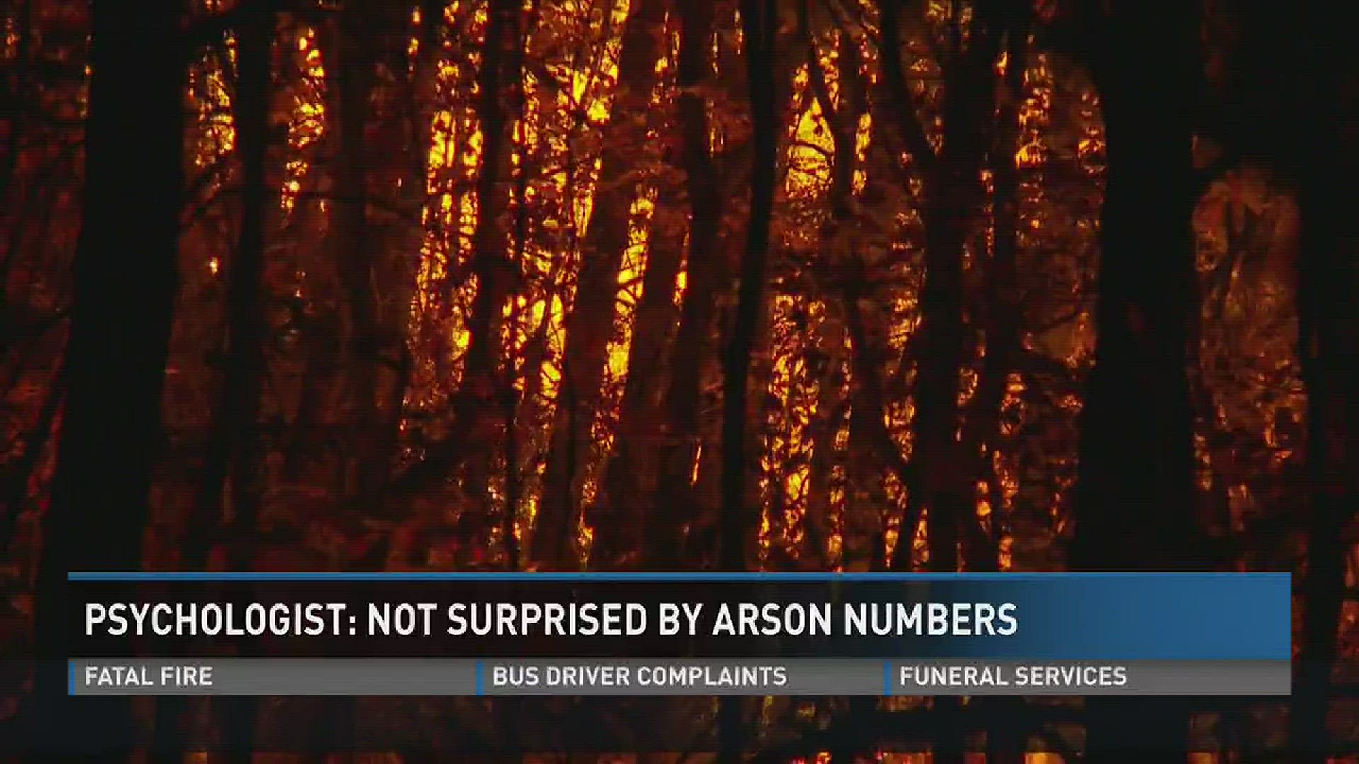 Nov. 25, 2016: The Tennessee Department of Agriculture says arsonists are to blame this year for more than 650 wildfires in the state.One clinical psychologist says she's not surprised by that number.