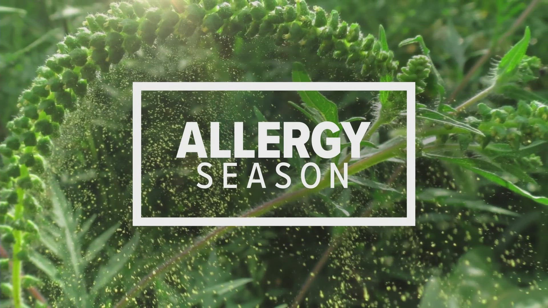 Experts say it's hard to predict when allergy season will peak here in East Tennessee. But when it hits, it hits hard.