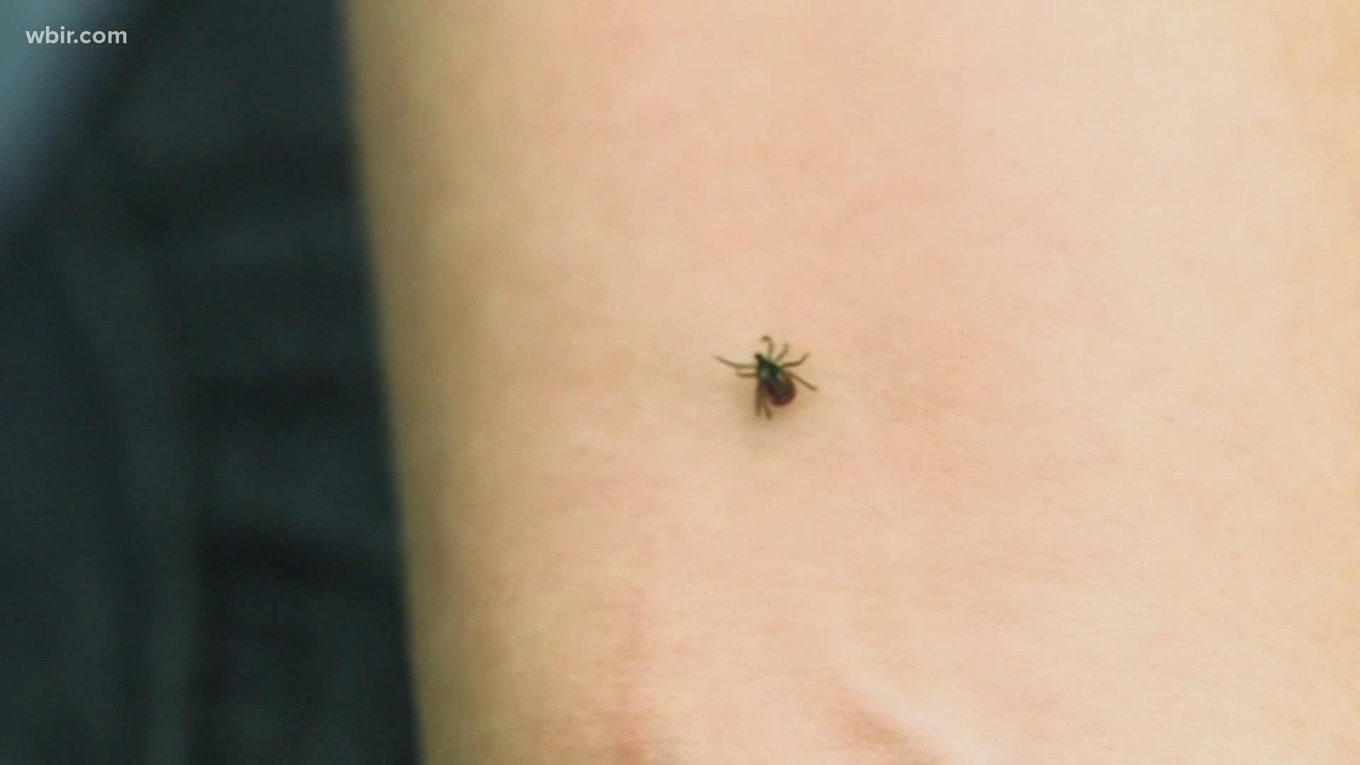 The CDC says ticks are spreading more than ever.