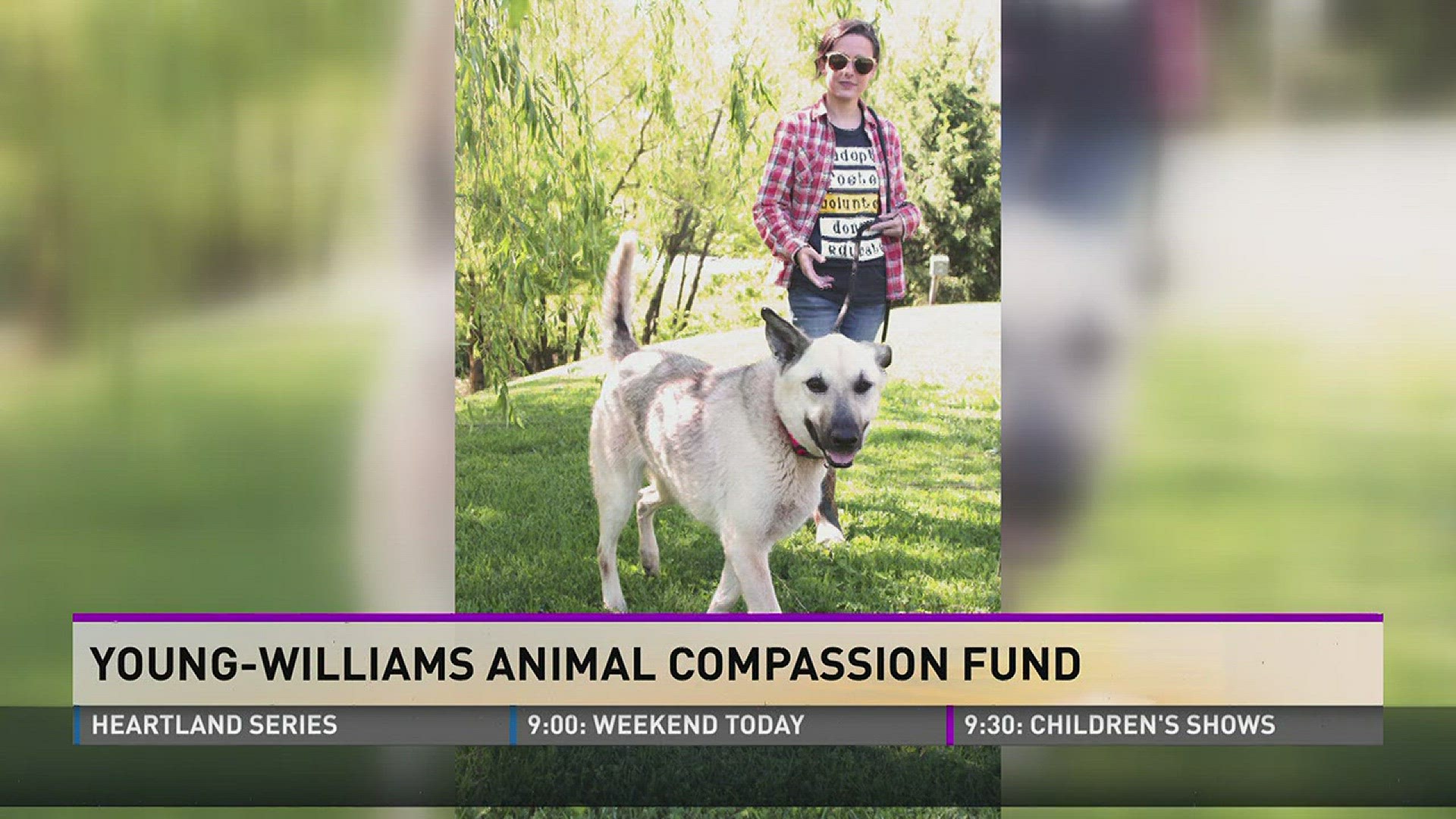 Hannah Overton of Young-Williams stops by to show off the pet of the week, and discuss the compassion fund.