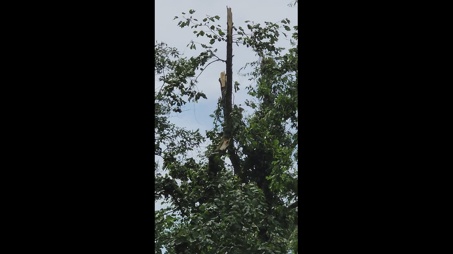 Storm Damage Wye Way Lane
Credit: John Cofer