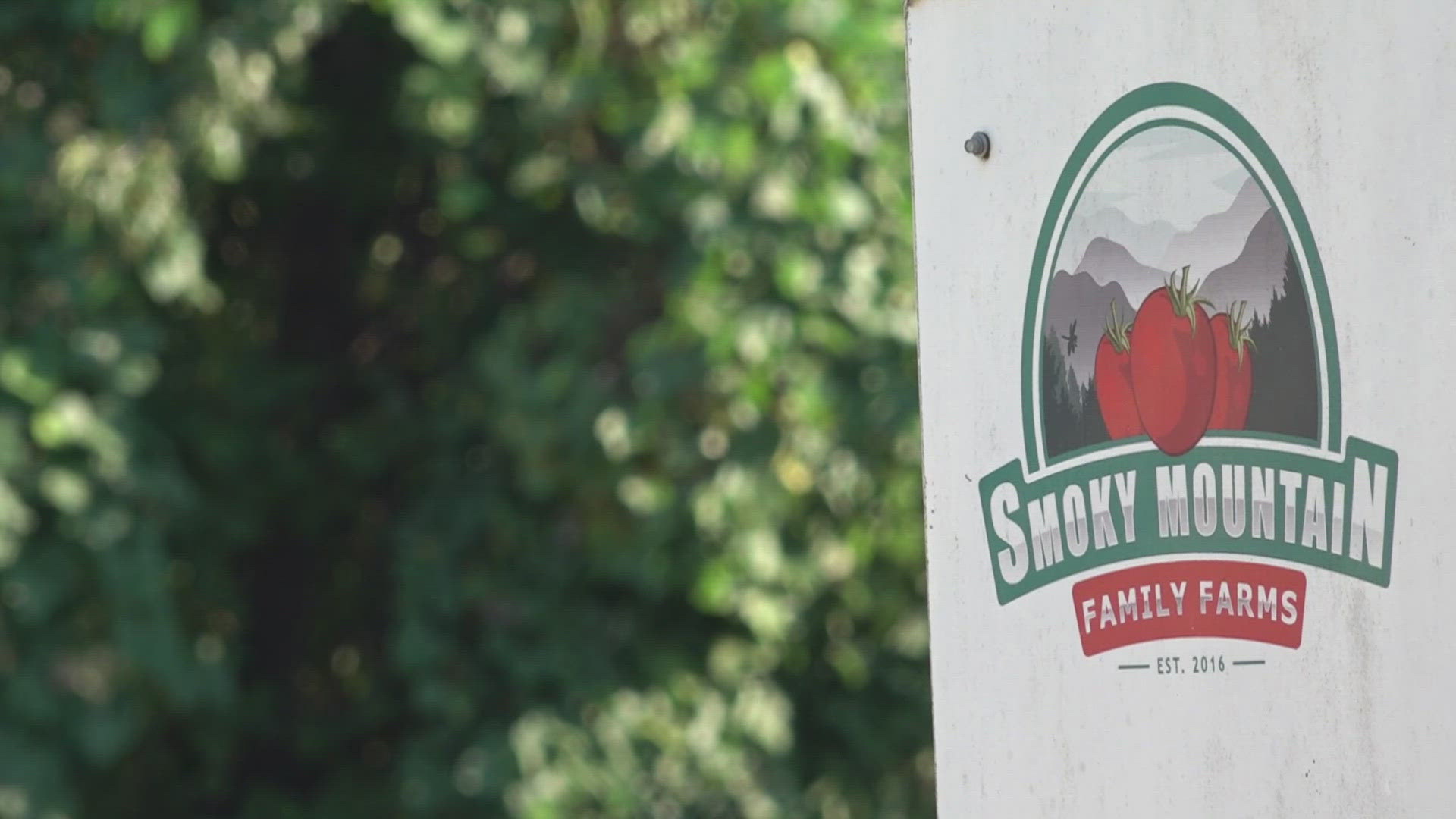 Migrant workers at the Smoky Mountain Family Farm in Newport have switched from picking tomatoes to cleaning up after historic flood damage.