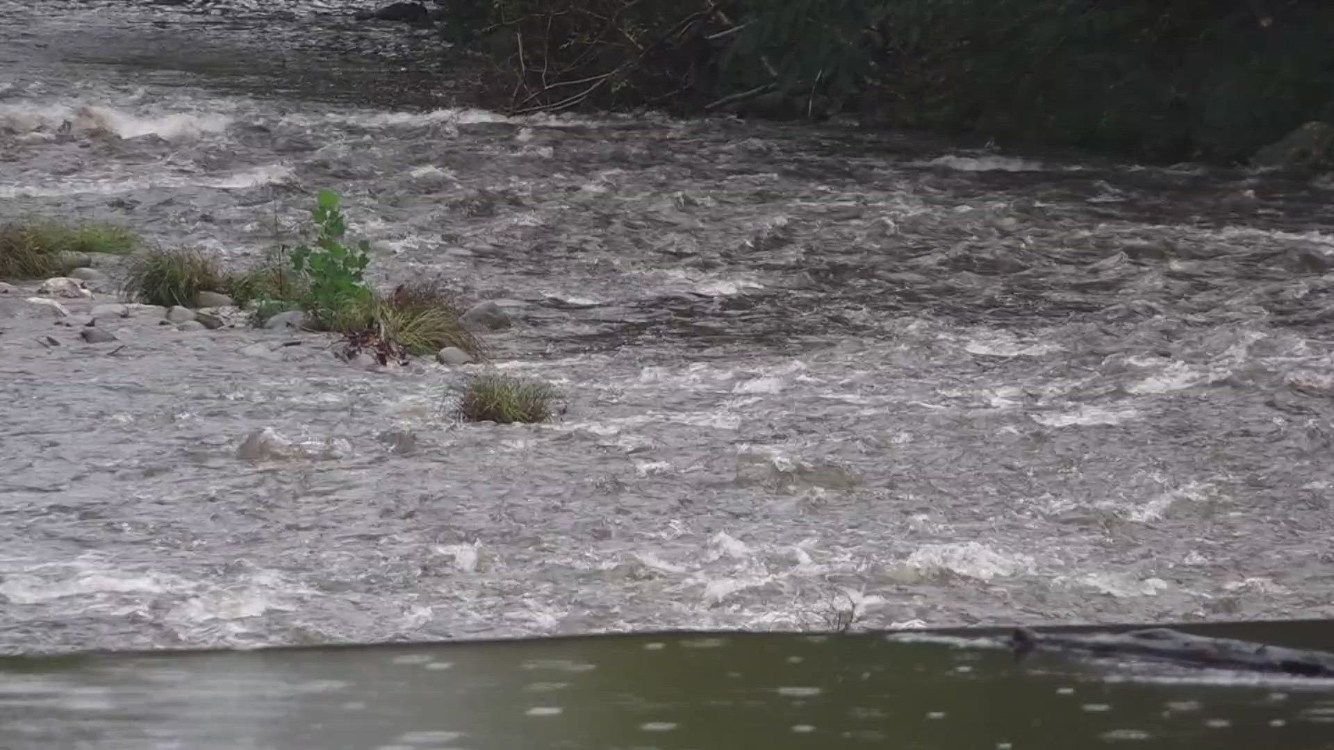 The Blount County Emergency Management Agency and local business owners are keeping a close eye on the forecast, preparing for flooding.