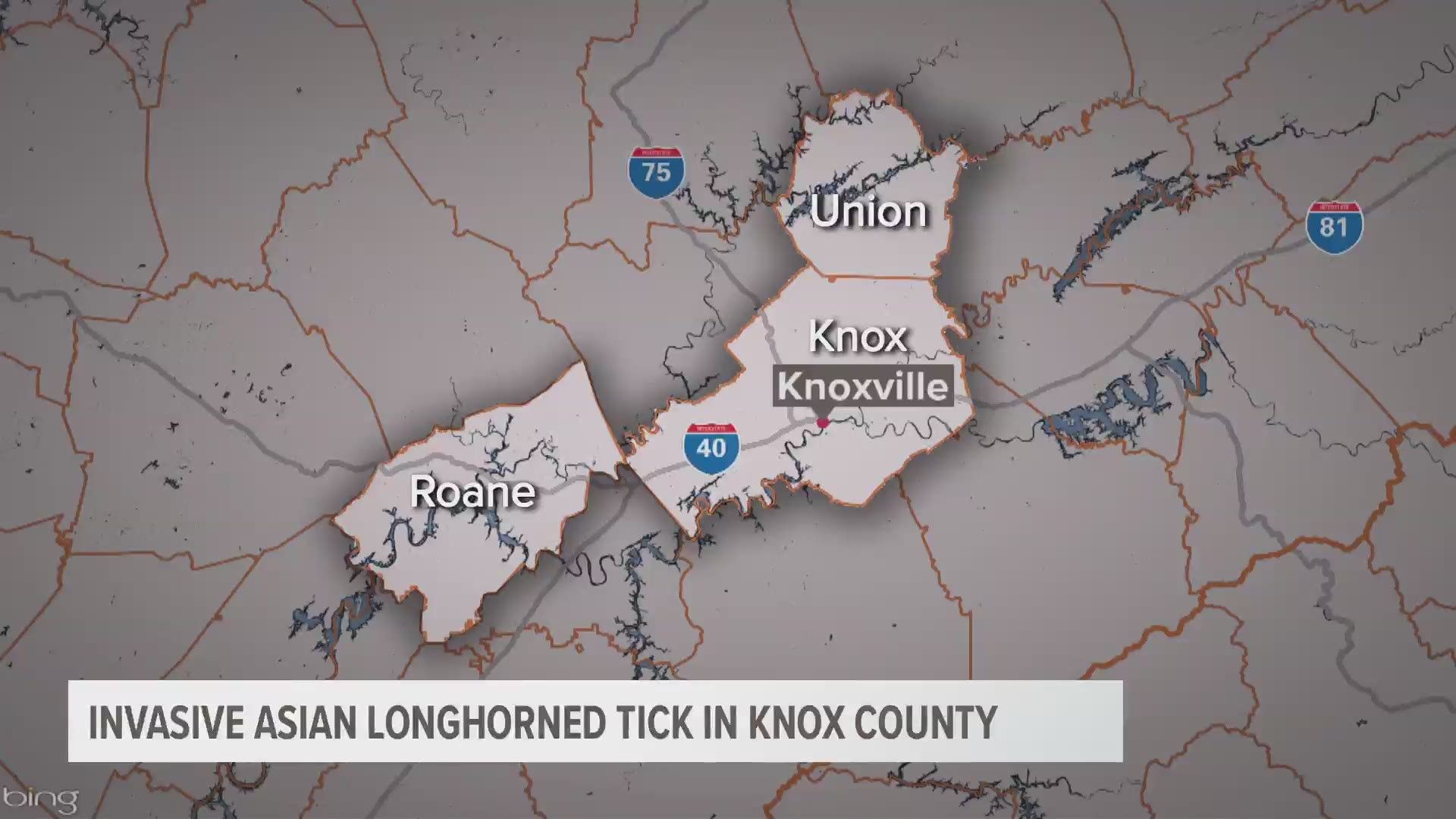 Scientists with the University of Tennessee have collected the Asian longhorned tick in Knox County.