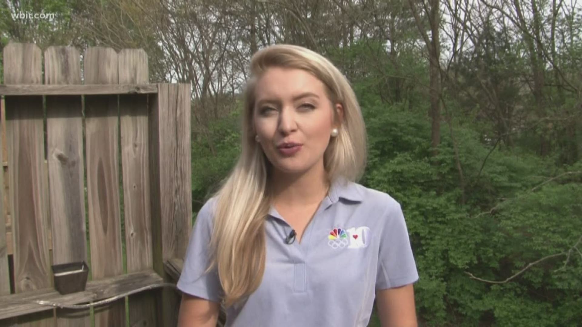 10News reporter Katie Inman explains how East Tennessee is taking advantage of their time at home, by completing those to-do lists.