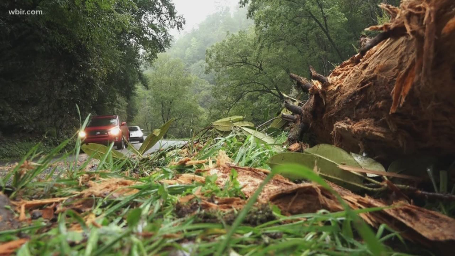 East Tennessee didn't get as much rain as expected, and the winds weren't nearly as high as feared. There was some minor damage in the Smokies, but the park reopened on Monday.