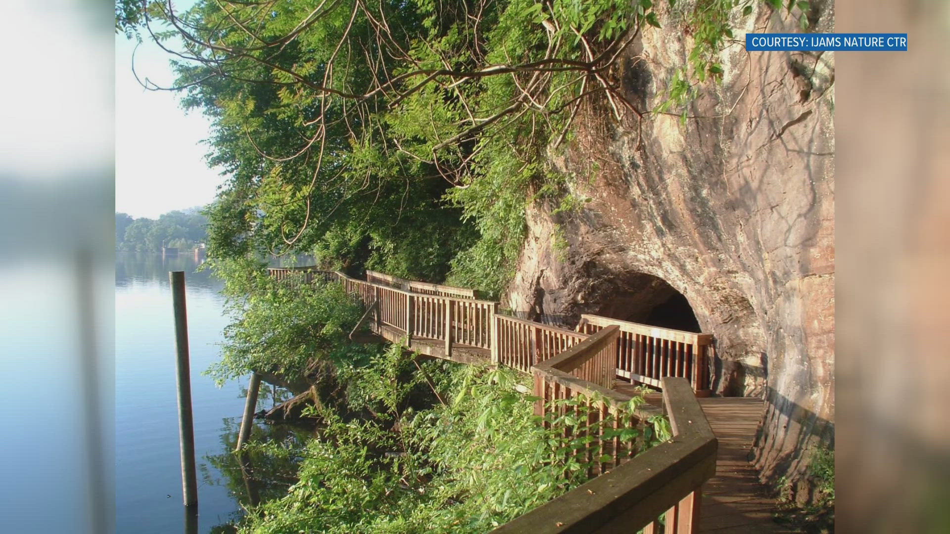 Ijams Nature Center reopens boardwalk after tree damage | wbir.com