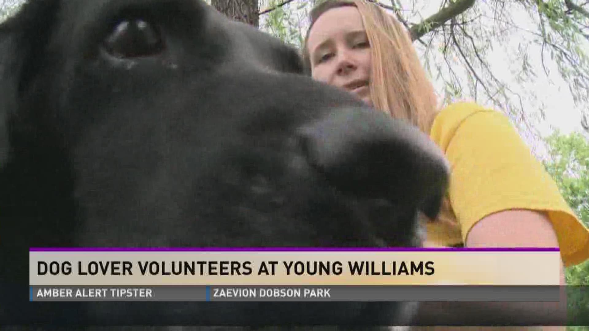 Lauren Quinn volunteers her time at Young-Williams Animal Center.