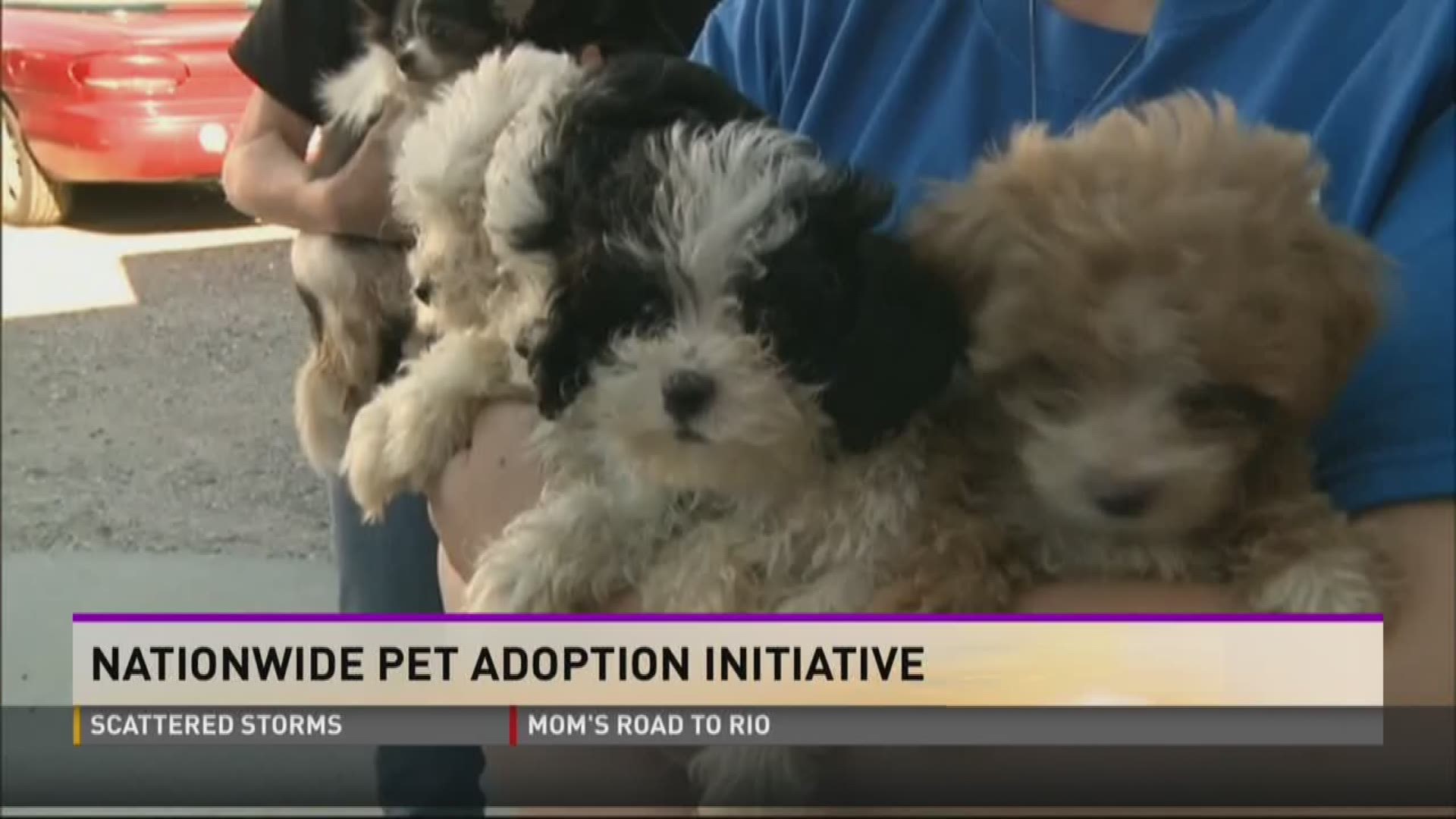 The Clear the Shelters event will help find forever homes for animals in need all across the country.