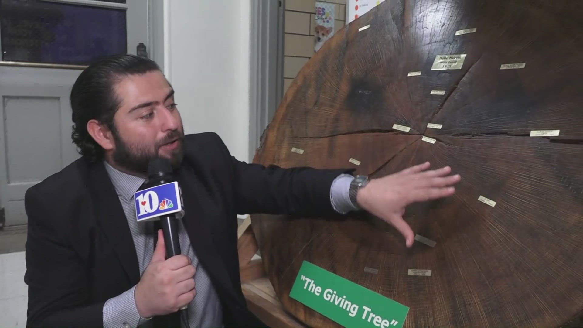 The tree spotlights significant dates in the school's history. 