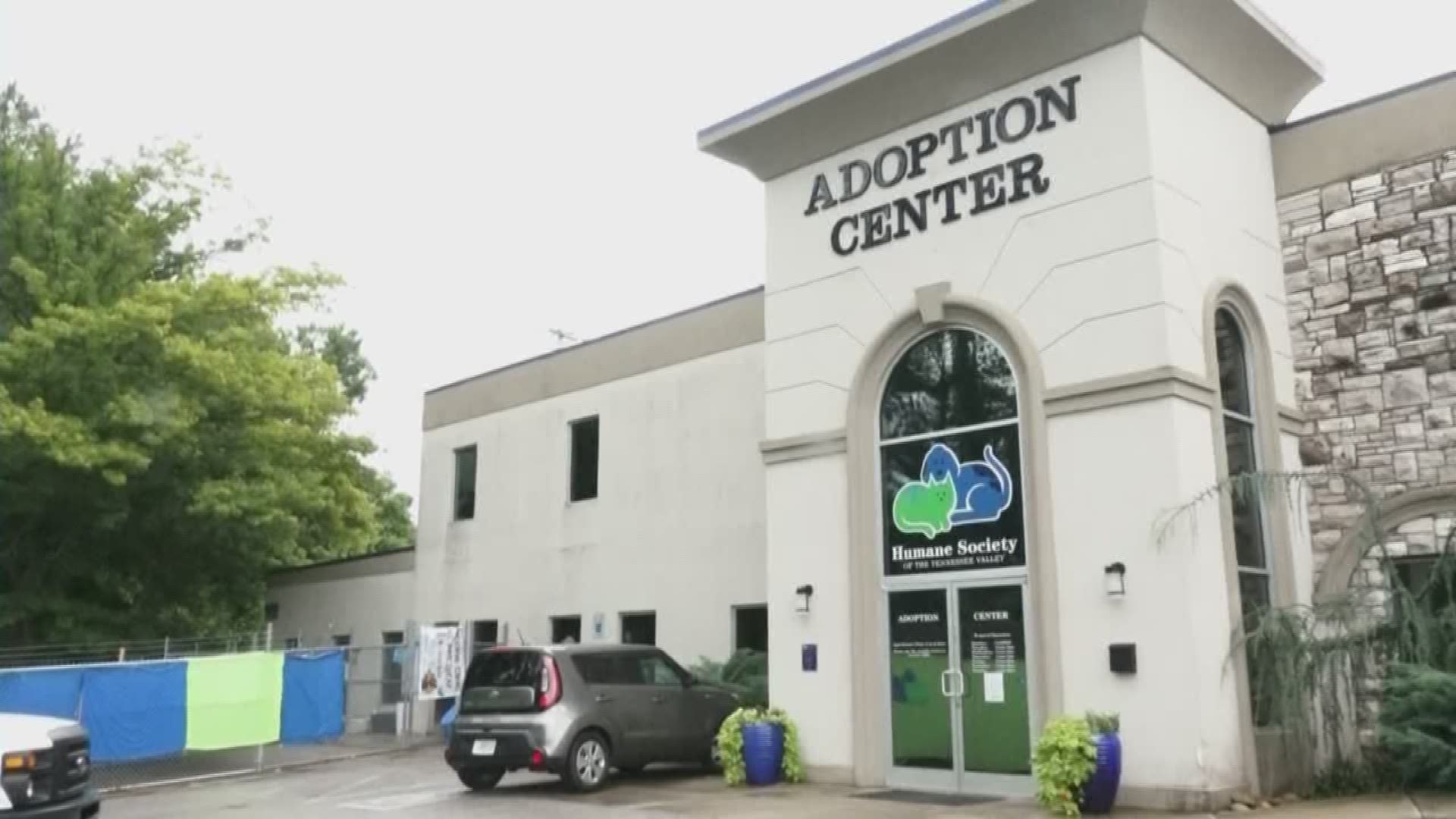 Hundreds of pets found new forever homes on Saturday during the nationwide Clear the Shelters event. This is the fourth year the event has happened.