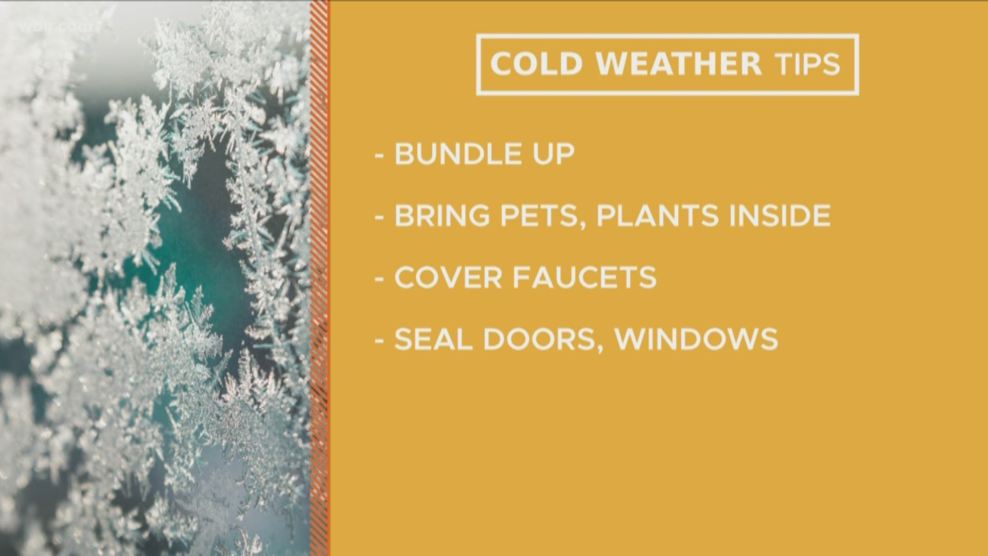 We're going to see some freezing temperatures this weekend. Here's what you can do to prepare for them!