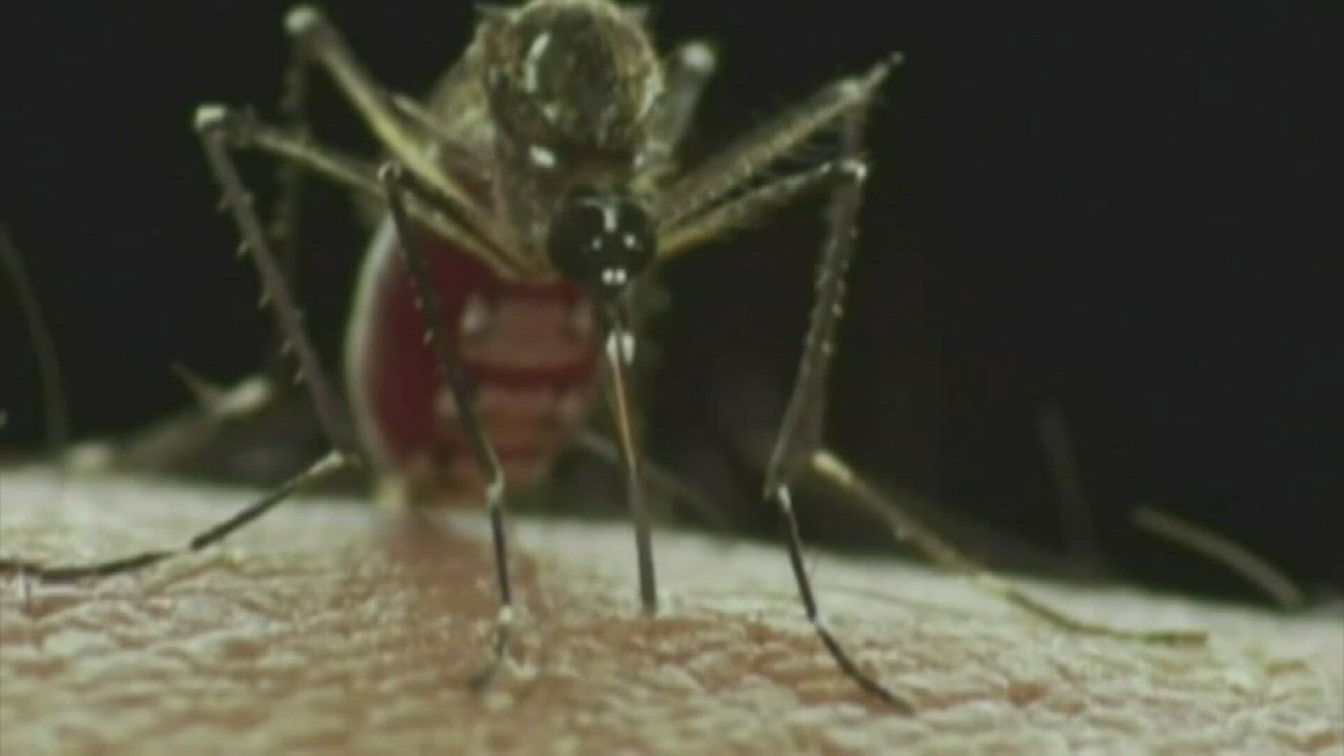 Health leaders in Knox County say more mosquitoes are testing positive for West Nile virus.