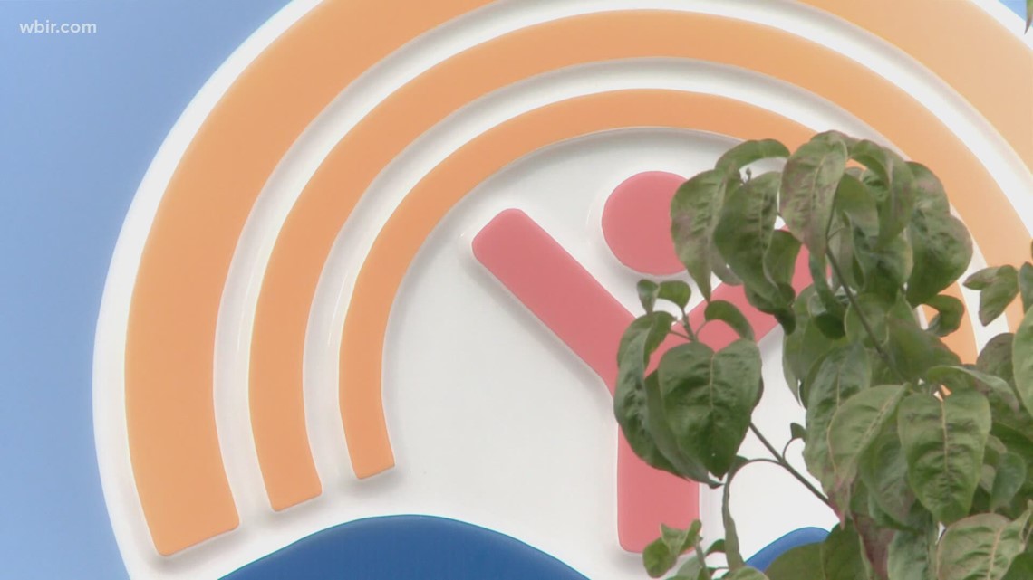 Billionaire donates millions to Knoxville nonprofits