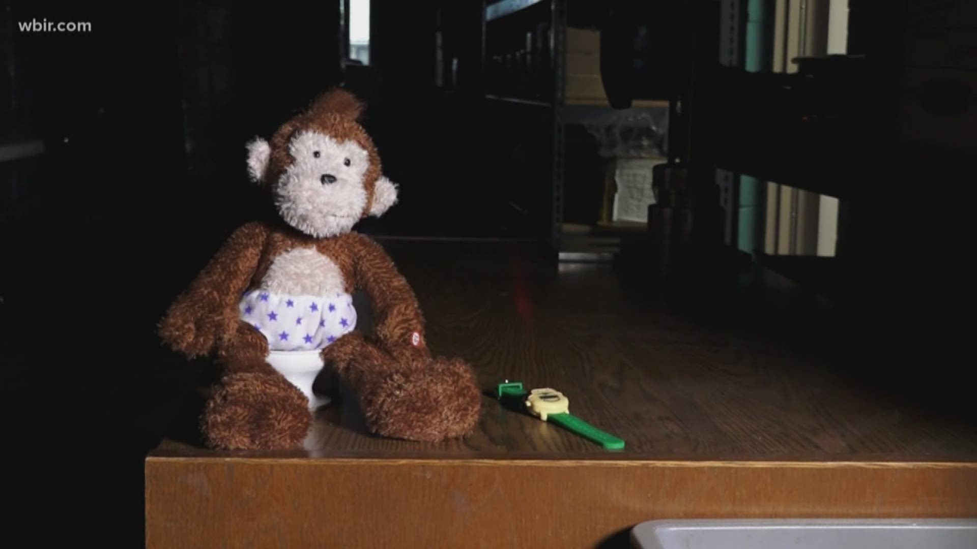The Potty Monkey aims to potty train kids, and it's based right here in Knoxville.
